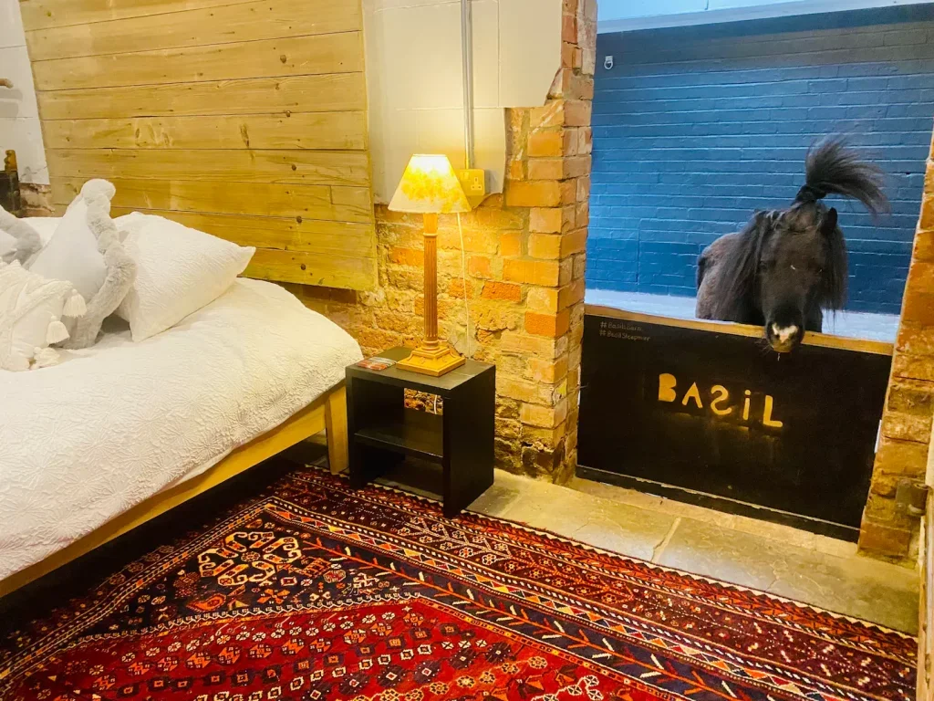 sleepover-with-basil-miniature-horse-stable-bedroom.webp