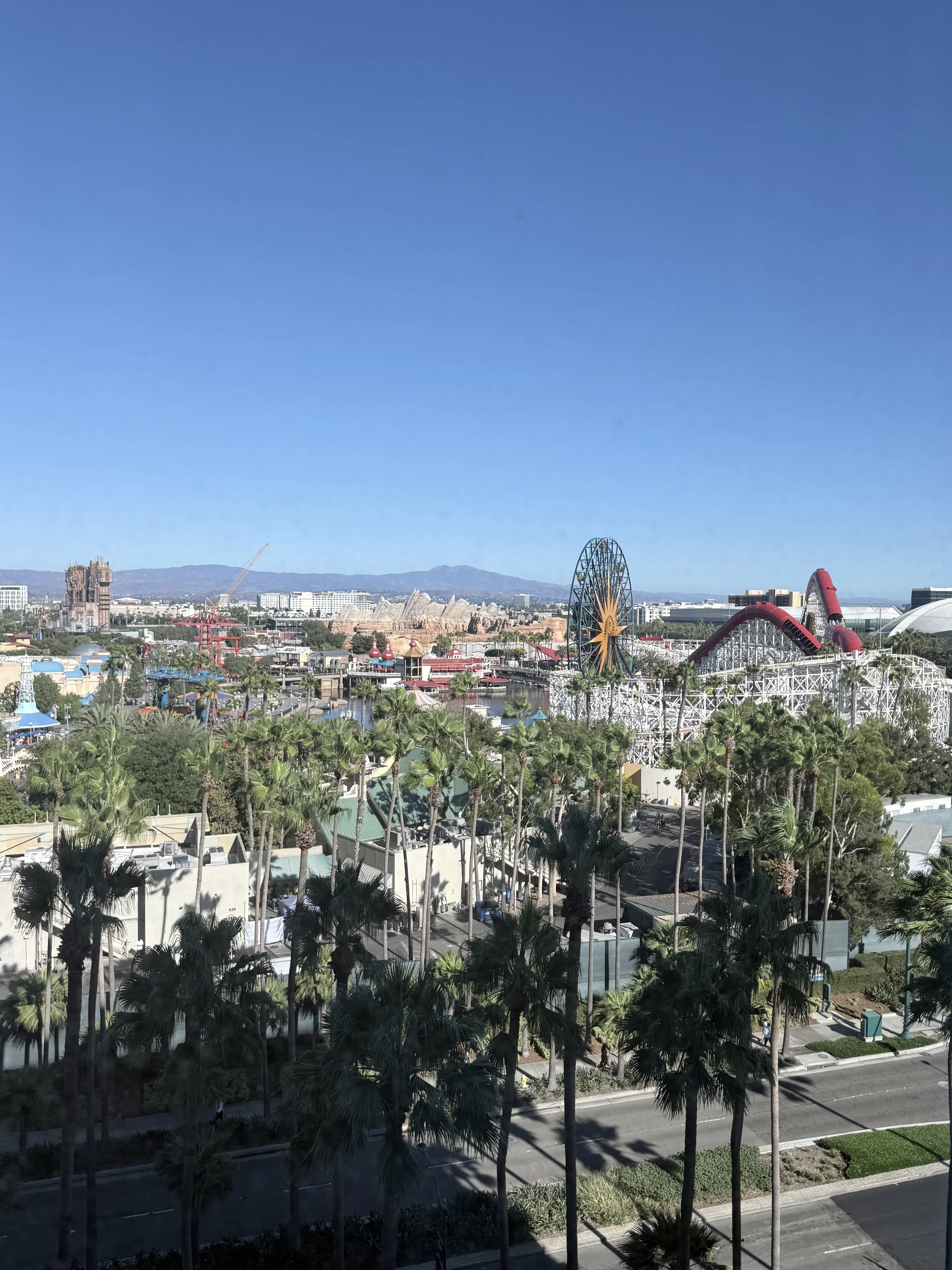 pixar-place-hotel-premium-view-park-view.JPG