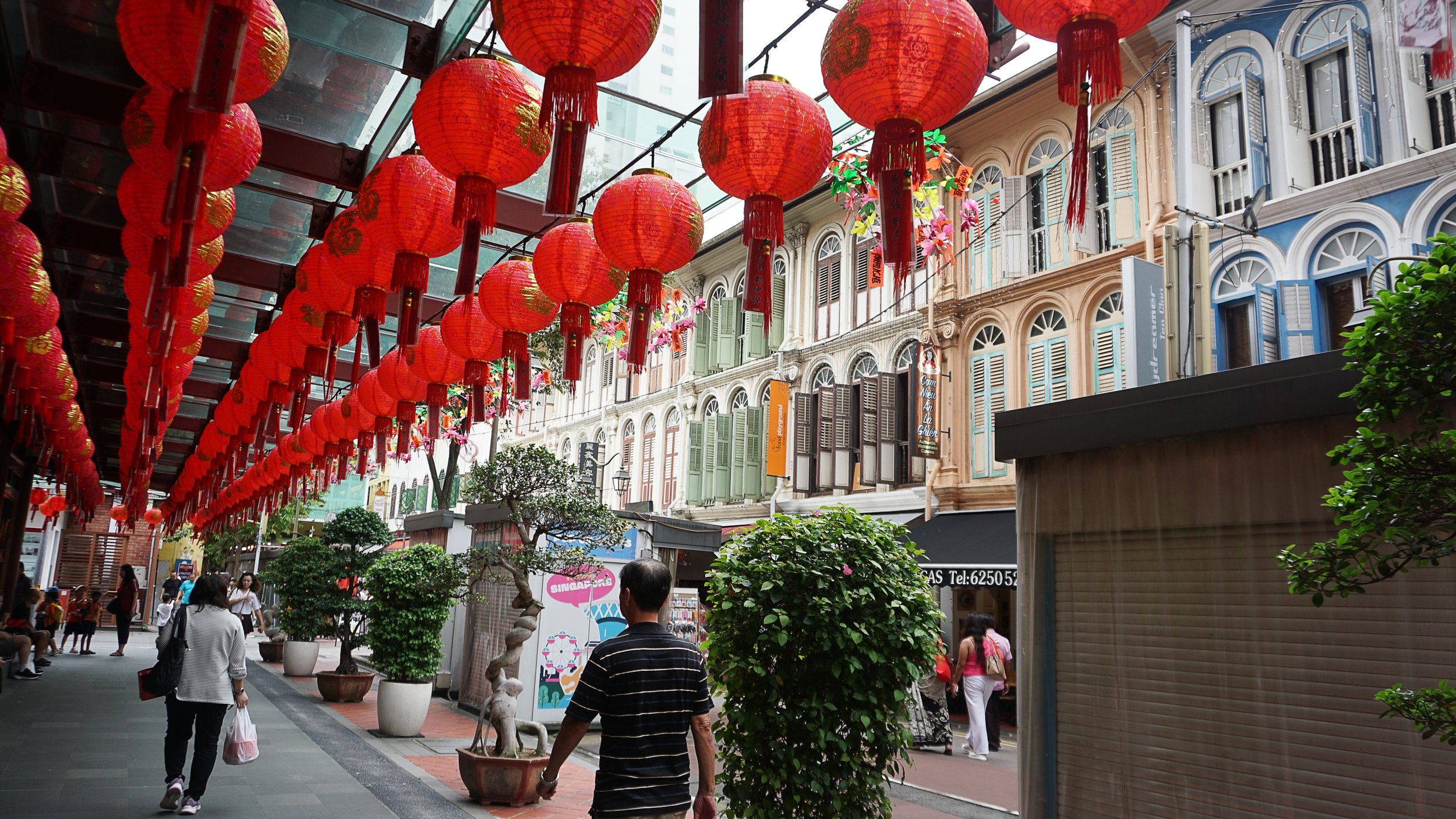 red lanterns hanging above Chinatown street in Singapore