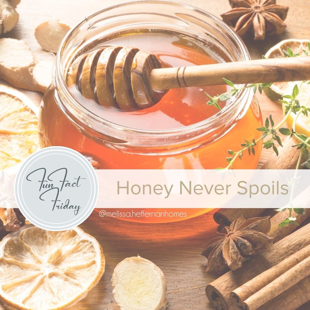 Fun Fact Friday 08.18.2023 