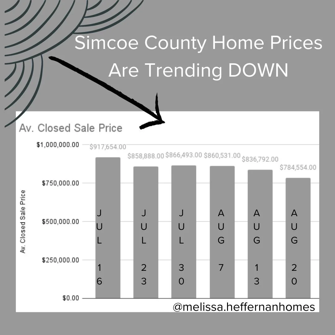 Market Monday 08.21.2023