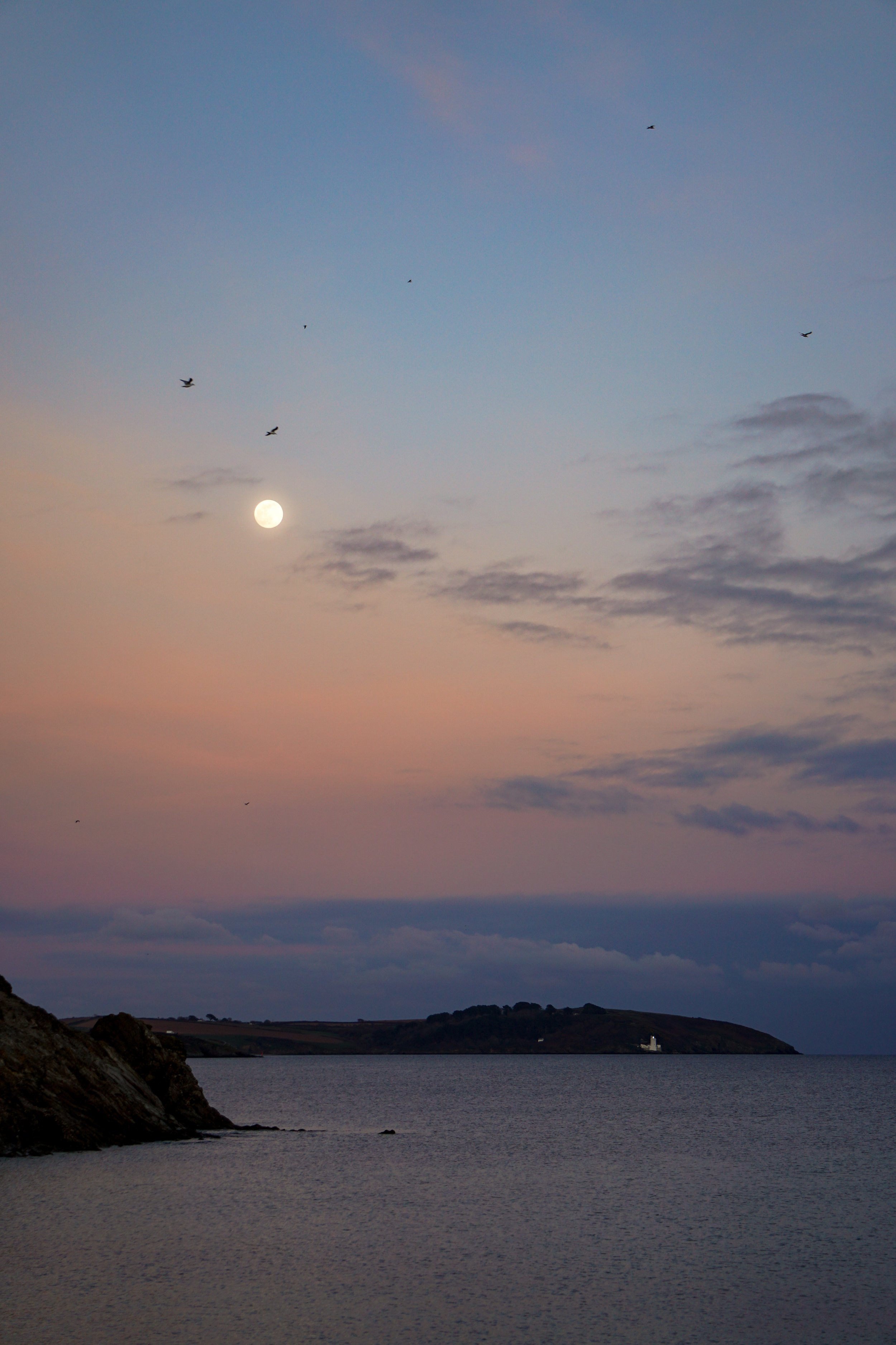 Swanpool at dusk with a rising full moon, scattered clouds, and several birds flying across the sky.