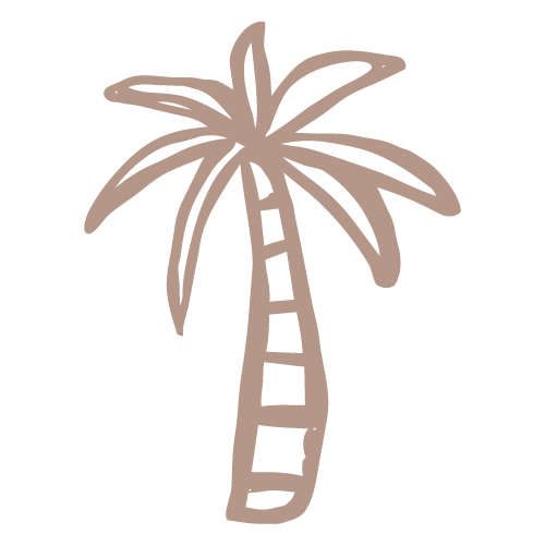 Simple illustration of a palm tree.