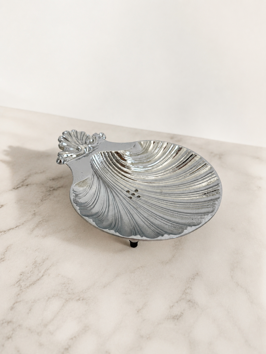 conchiglie 6.png
