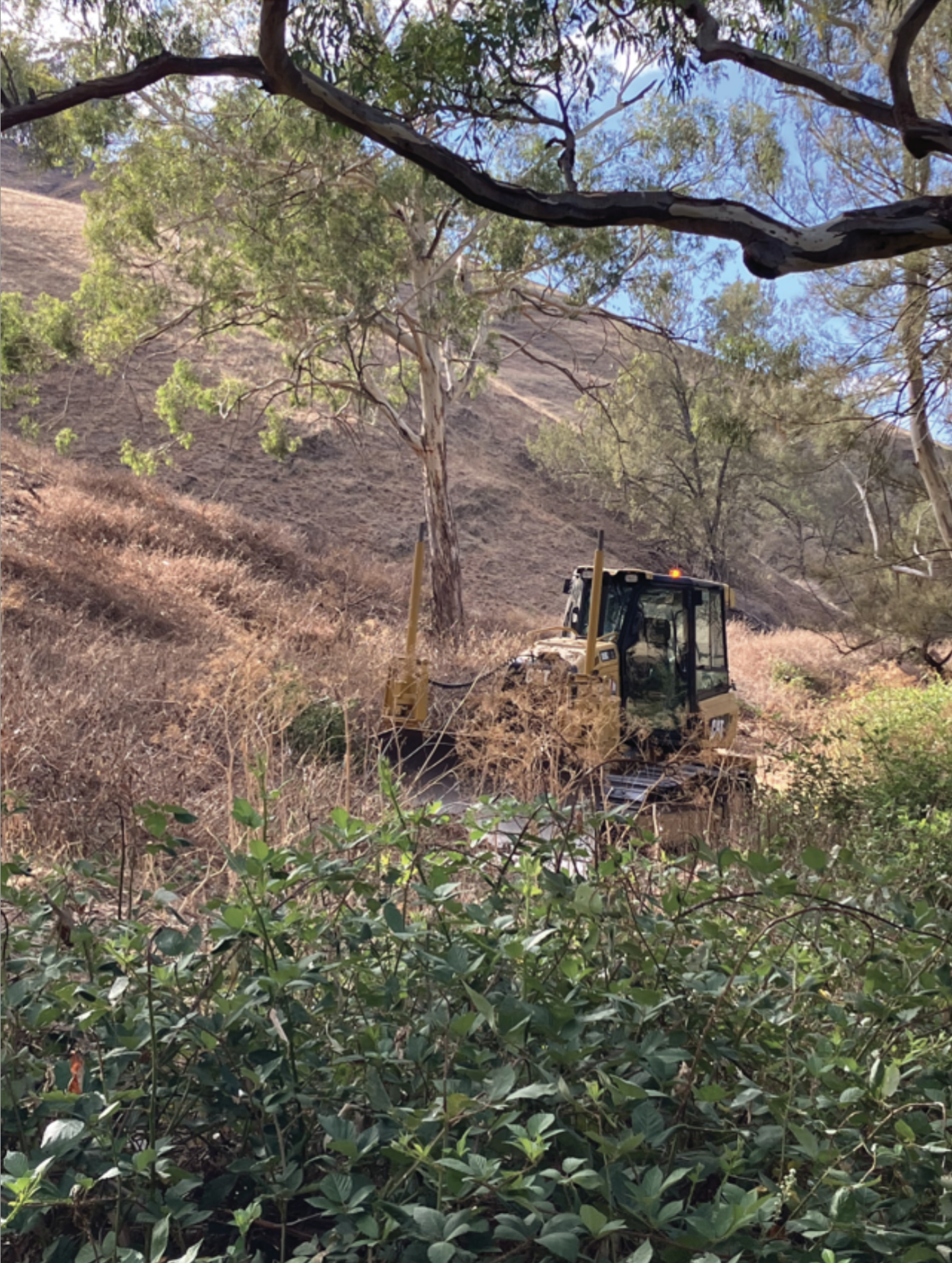 Site clearing and rehabilitation works preparing land for construction while supporting environmental outcomes.
