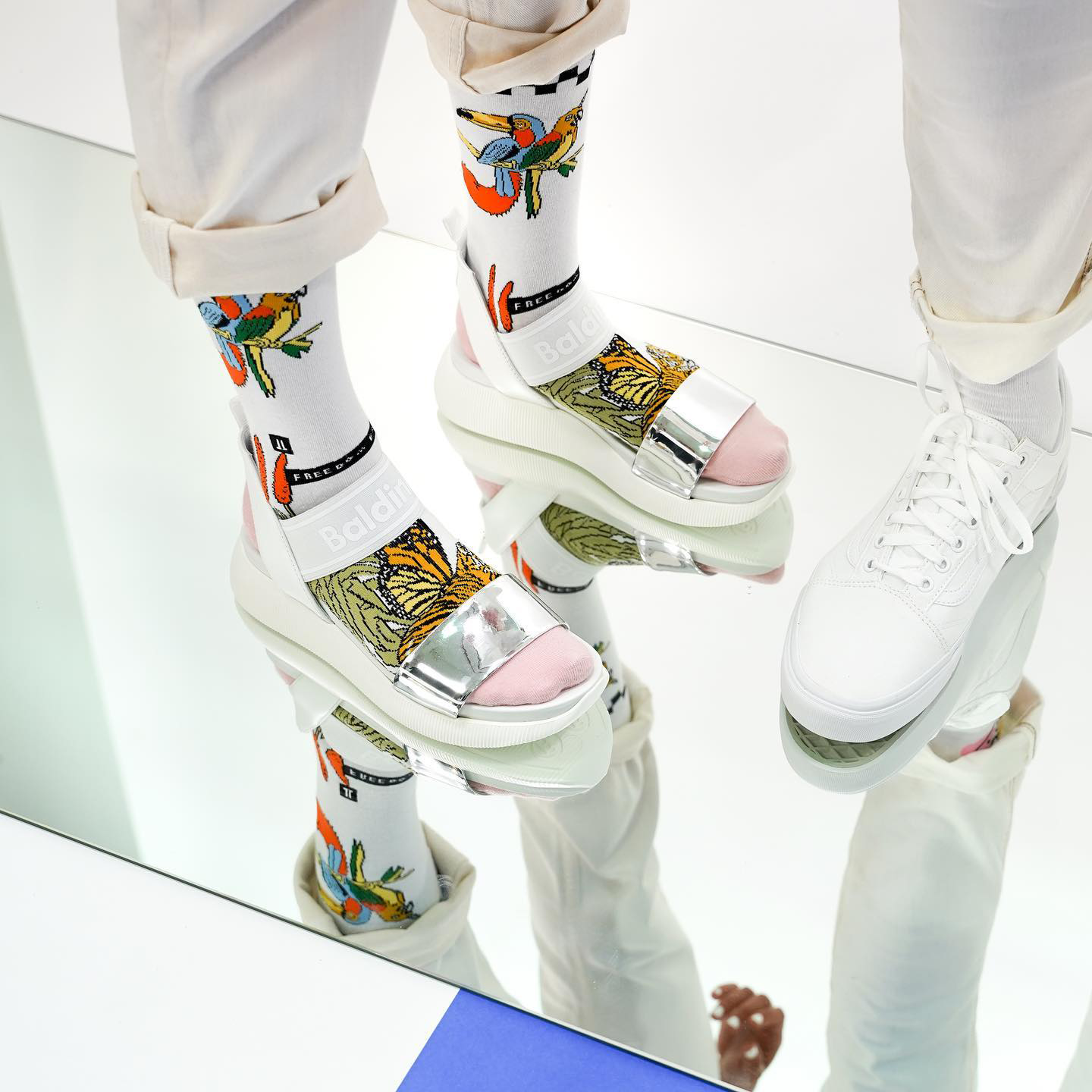 Collectoe socks