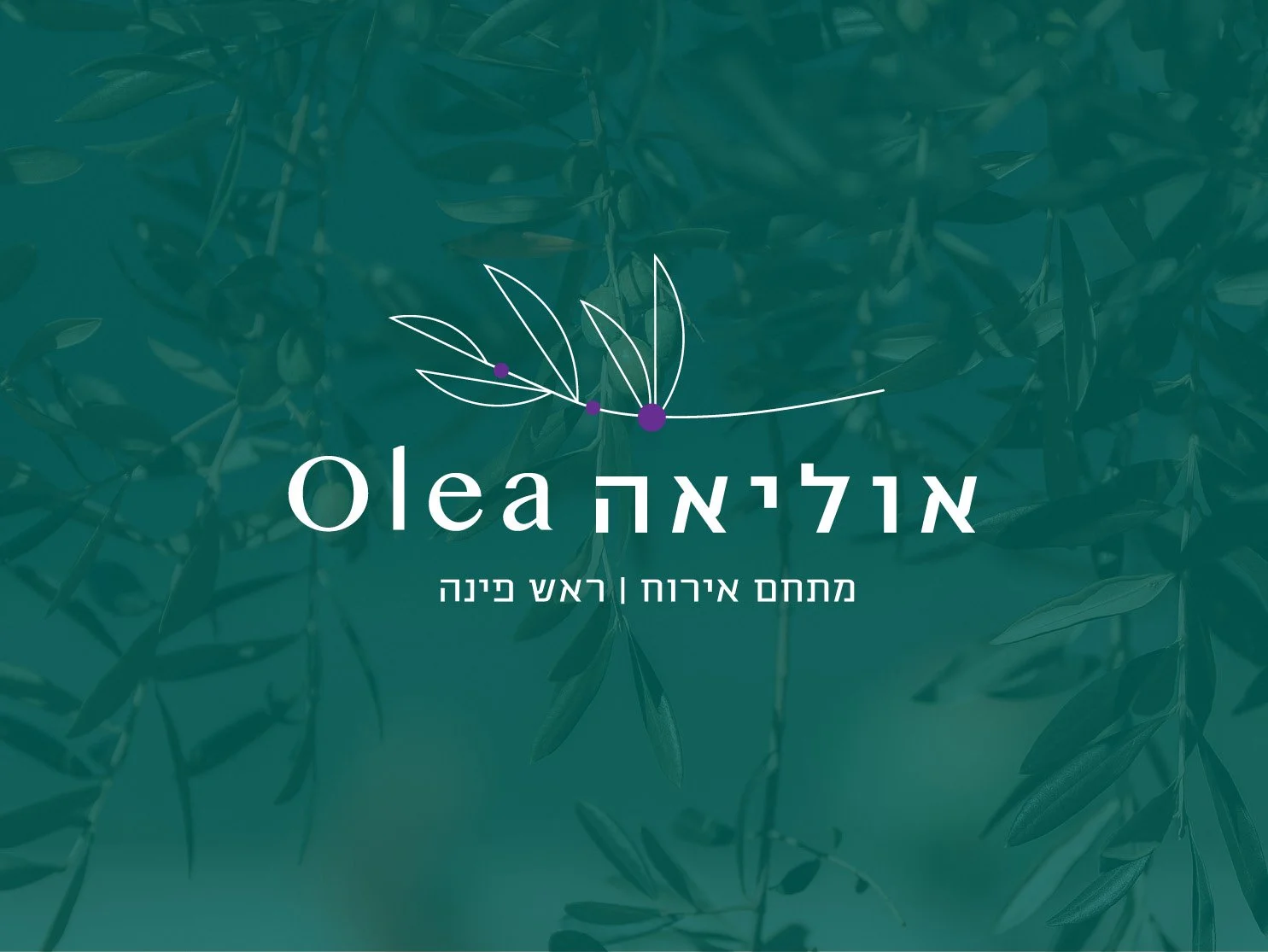 Olea hospitality