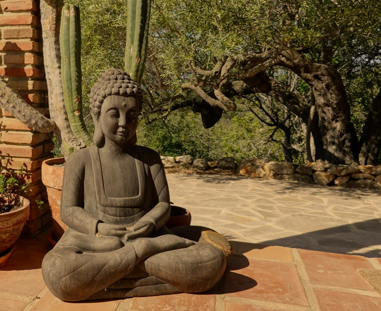 Stone sculpture of a seated Buddha in meditation pose outdoors, surrounded by potted plants, with a cactus behind it and a tree with twisted branches in the background.