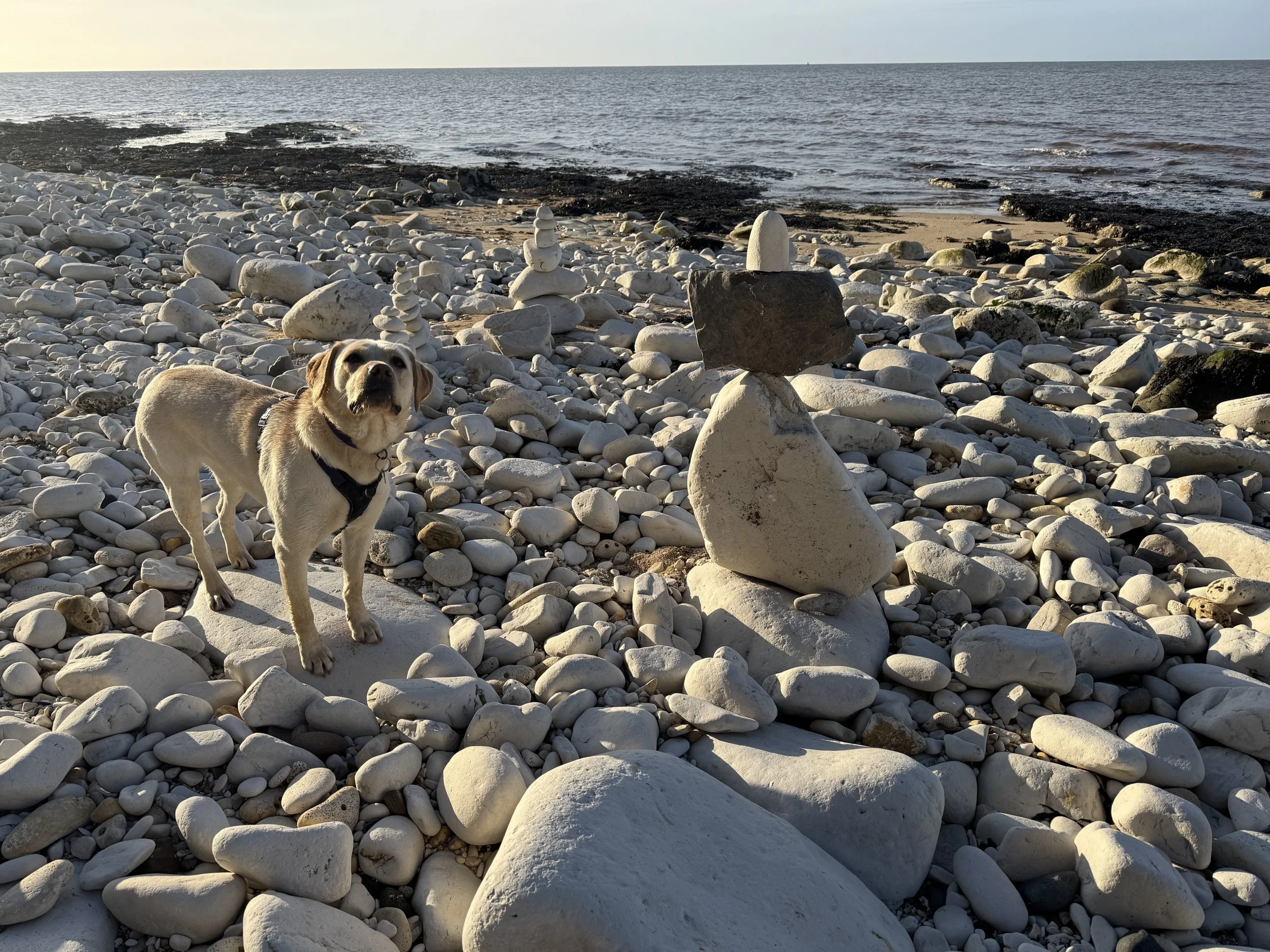 Living in Flamborough