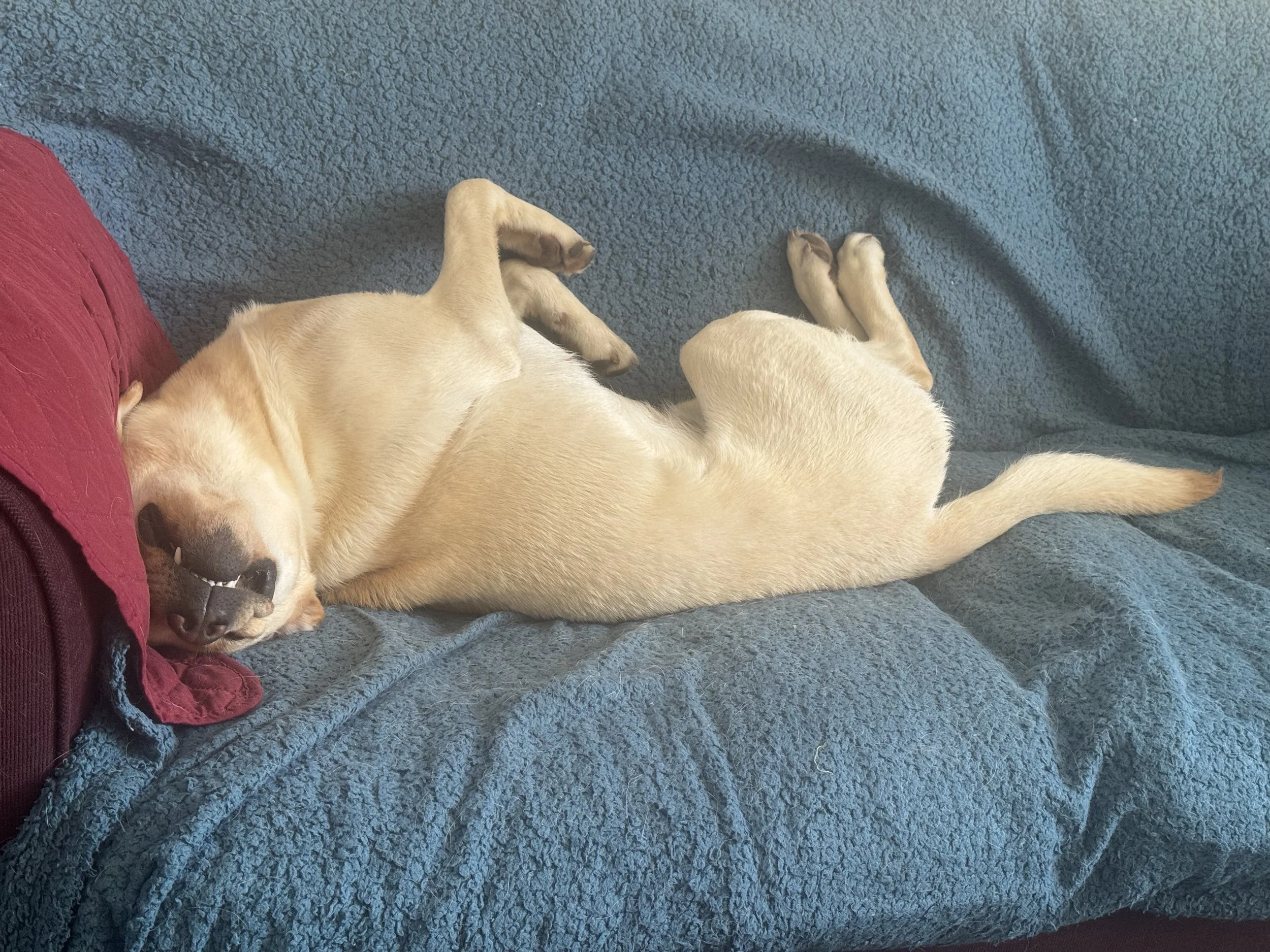 Restoring Sleep and Rest
