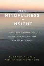 Book cover titled 'From Mindfulness to Insight' by Rob Nairn, Choden, and Heather Regan-Addis, featuring a calm body of water at sunset or sunrise.