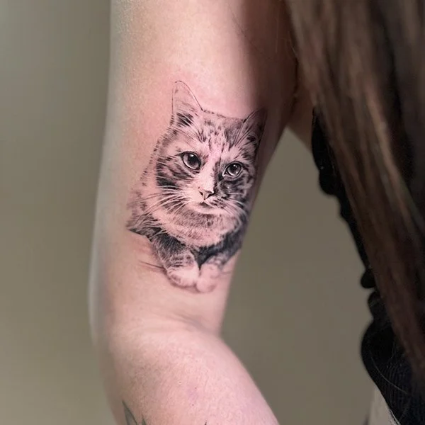 tatovering-kjaeledyr-pet-mikrorealism-overarm-katt