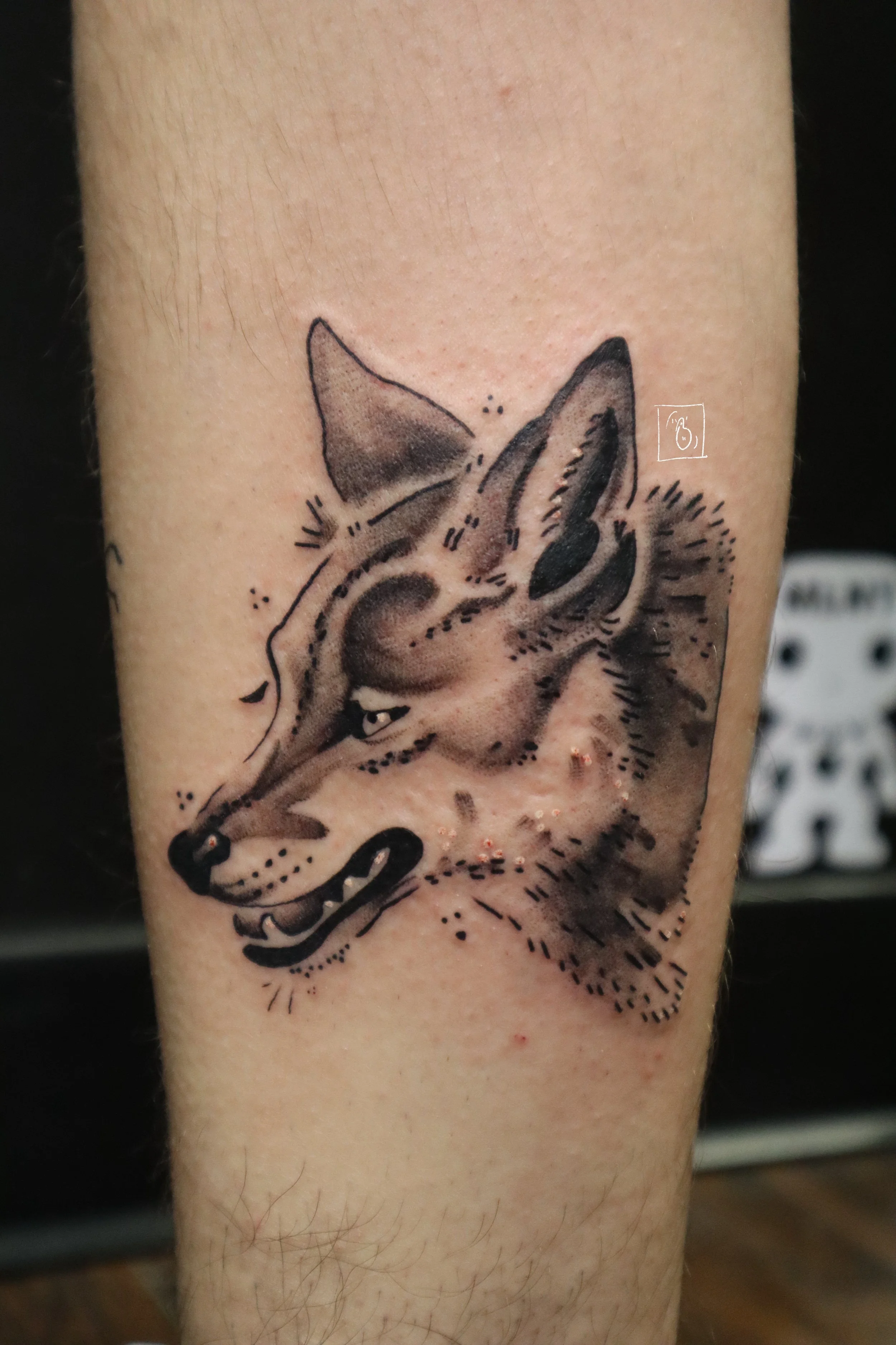 tattoo of a coyote in an illustrative black and grey style on the back of a calf