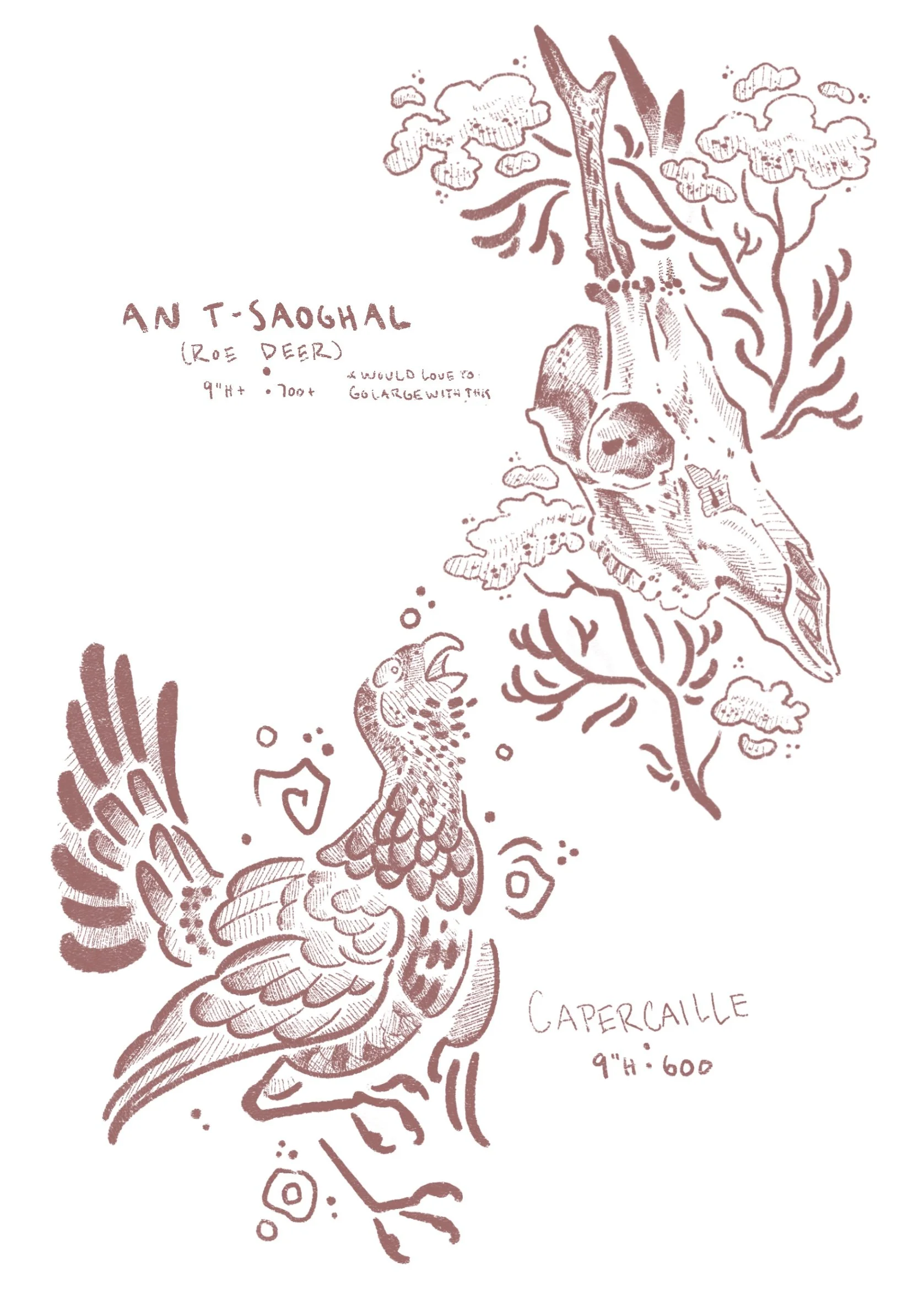 tattoo flash. top left a roe deer skull surrounded by yarrow titled AN T-SAOGHAL, 9" high 700 USD, would love to go larger with the skull; bottom left a Scottish game bird called a CAPERCAILLE, 9" height 600 USD