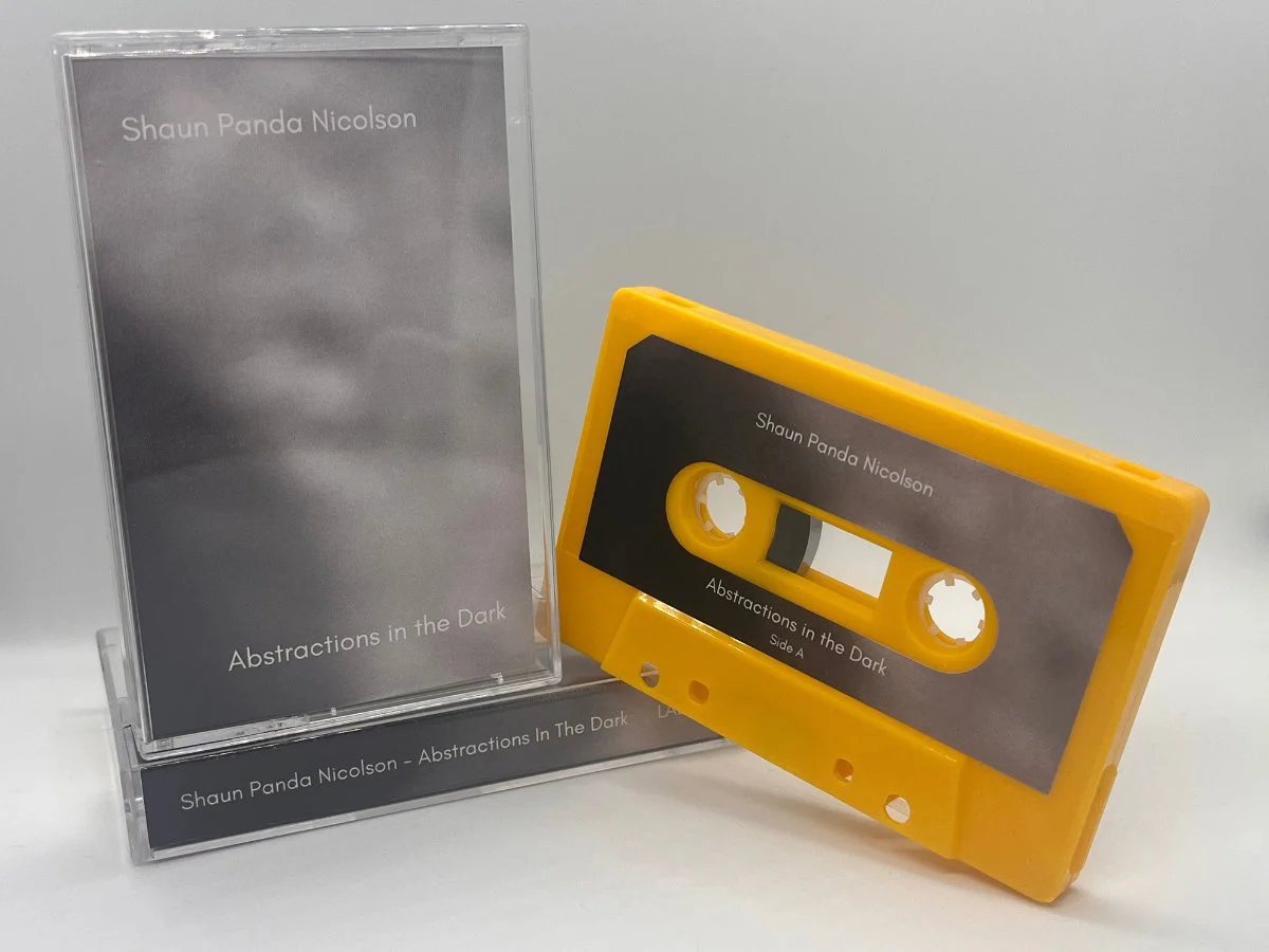 Shaun Panda Nicols - Abstractions In The Dark