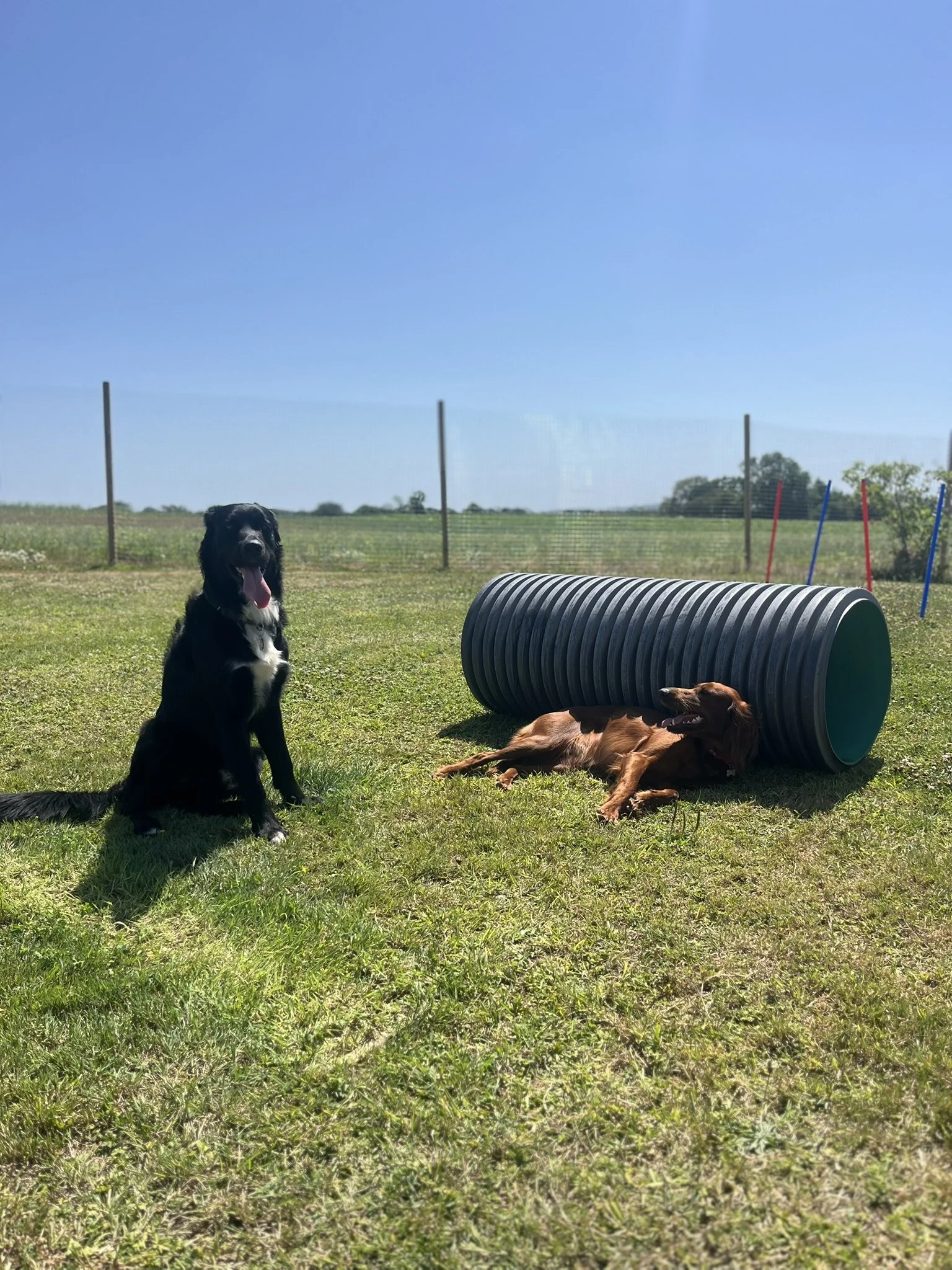 IMG_0643.JPEG