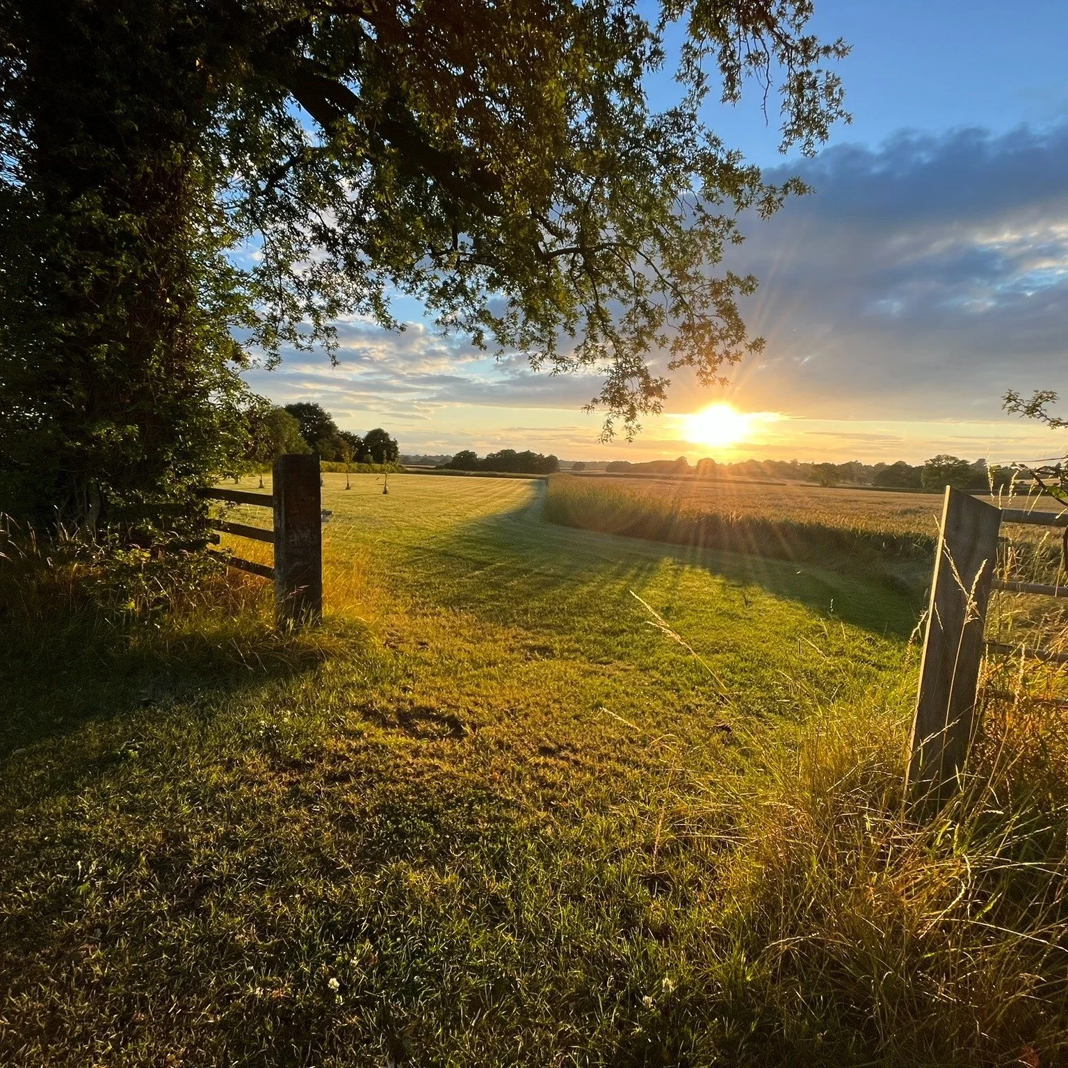 We're proud to be custodians of a small part of North Shropshire's stunning countryside. Our family has tended this land for 101 years, always with the environment, nature &amp; sustainability at heart. 

We launched the Shropshire Dog Hotel with the