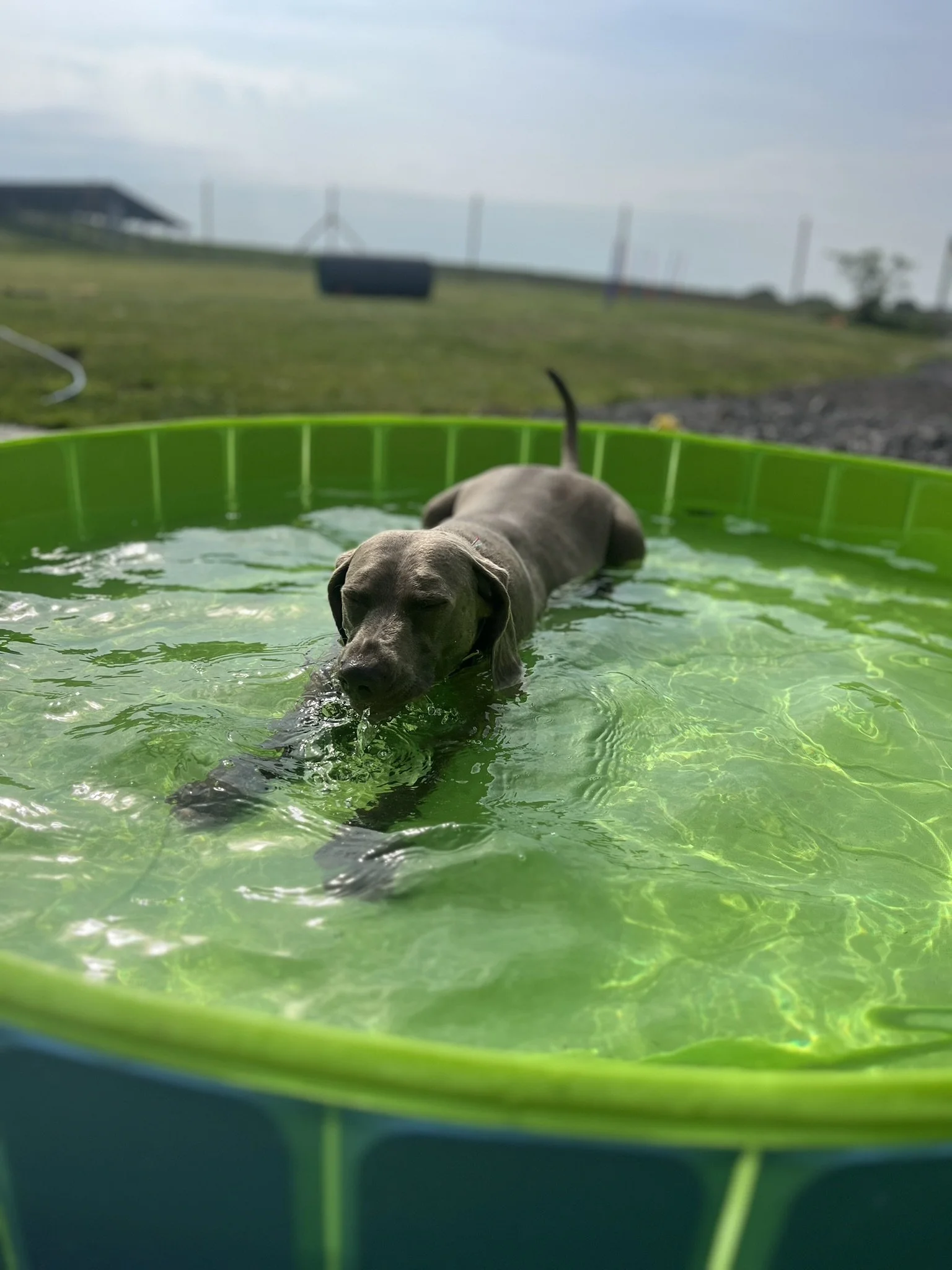 IMG_9905 (2).JPEG