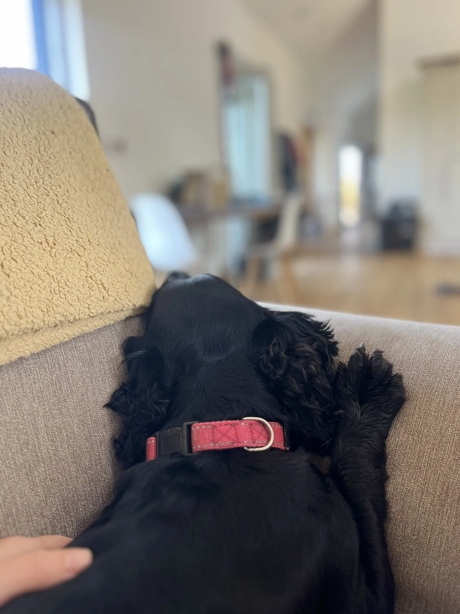 IMG_0488.JPEG