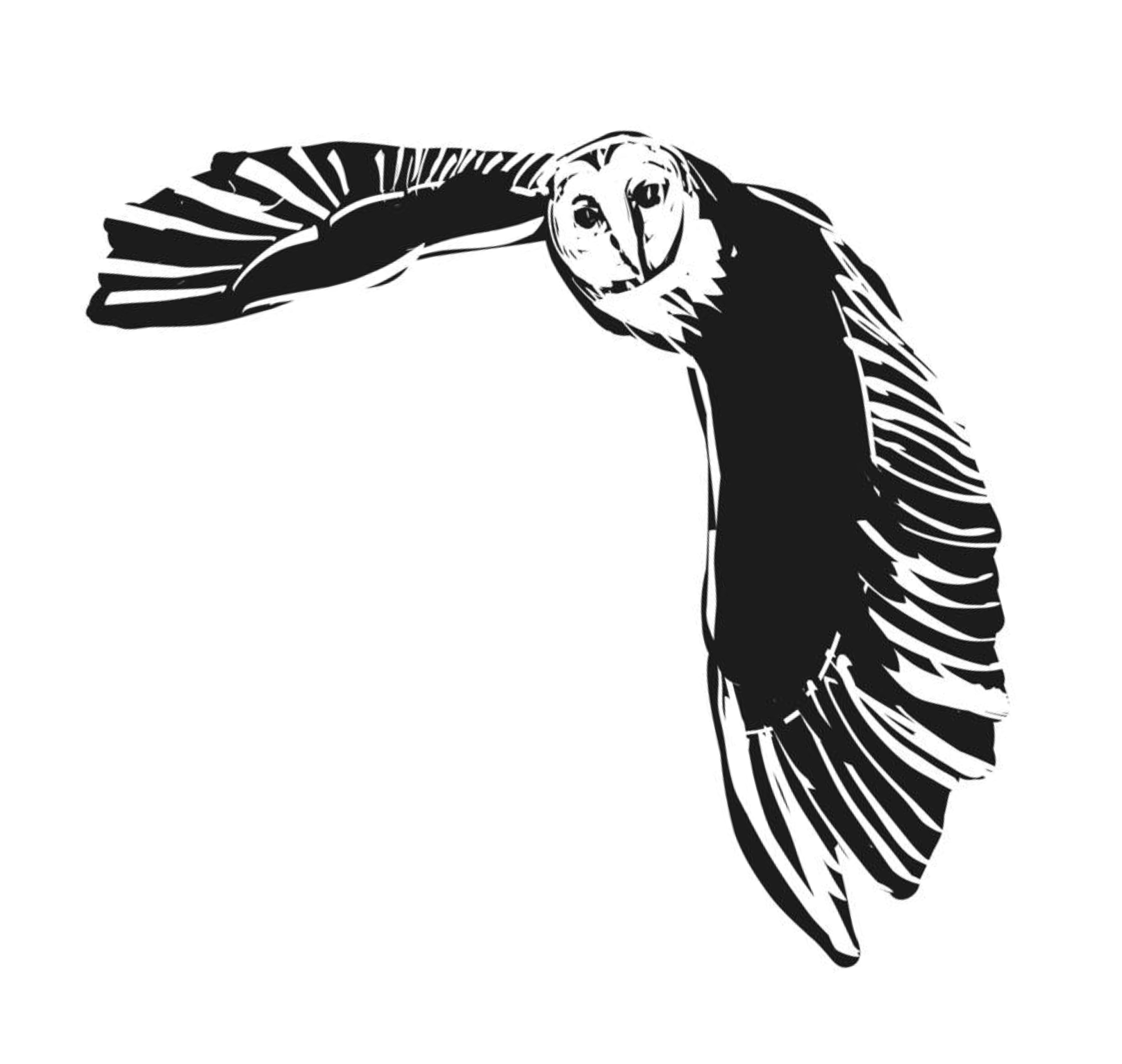 Screenshot 2026-03-31 at 10.38.55.png