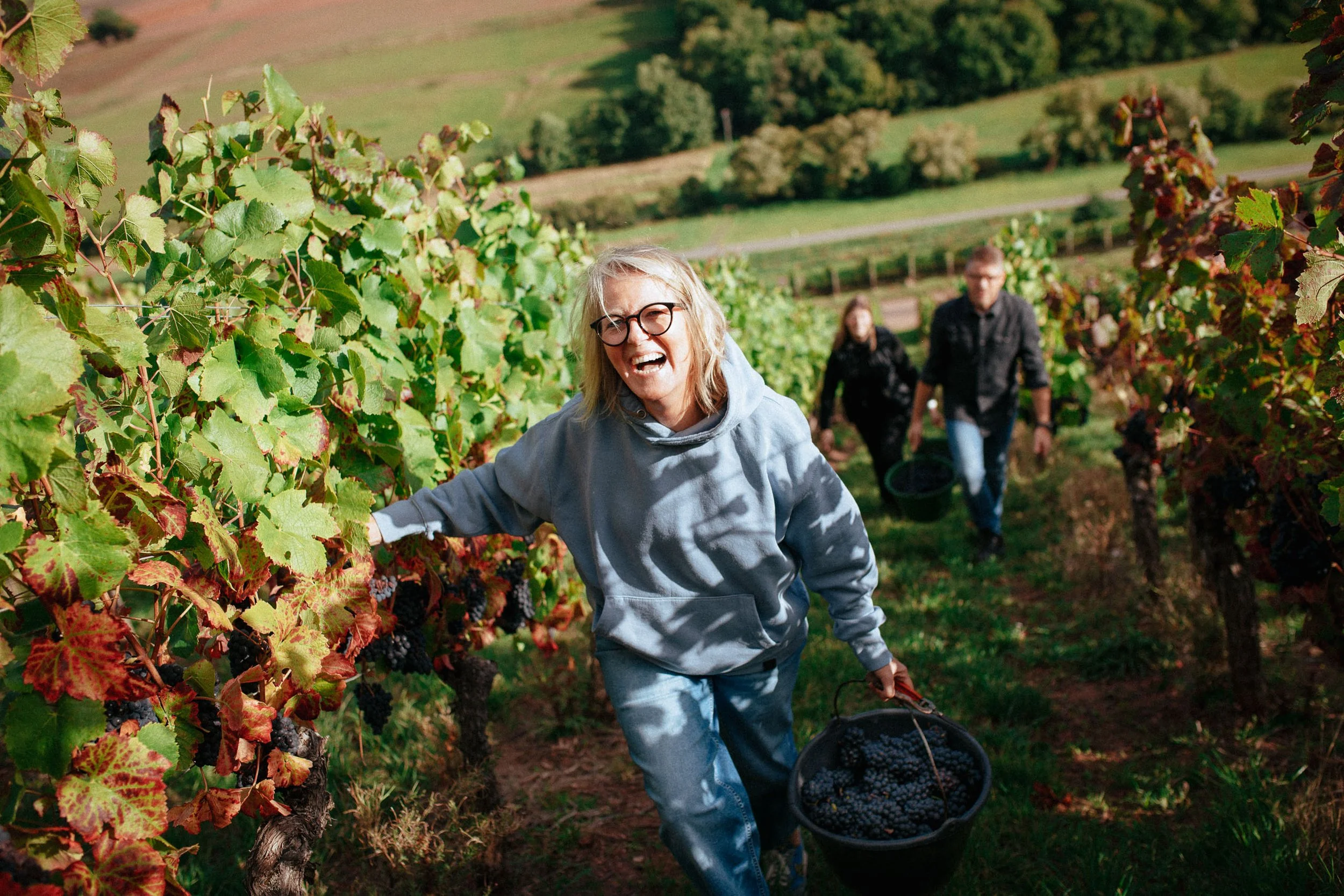 Lächelnde Frau in einer Weinrebe in einem Weinberg, umgeben von weiteren Personen, die Trauben ernten.