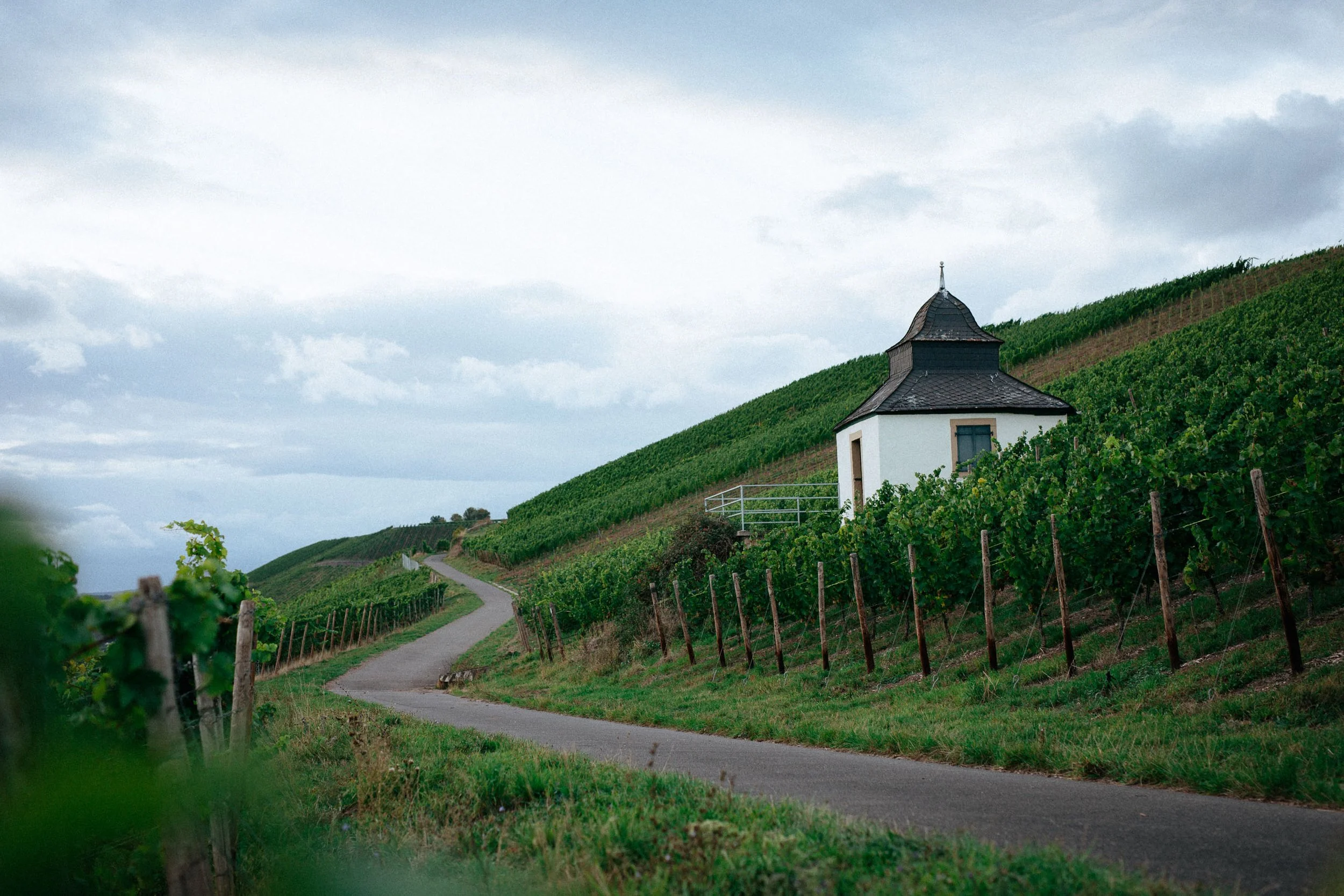 Ein verschlungener Pfad führt durch eine Weinlandschaft mit Steilhängen, auf denen Weinreben angebaut sind. Es gibt ein kleines weißes Gebäude mit dunklem Dach an der Seite des Hangs. Die Landschaft ist von Wolken bedeckt.