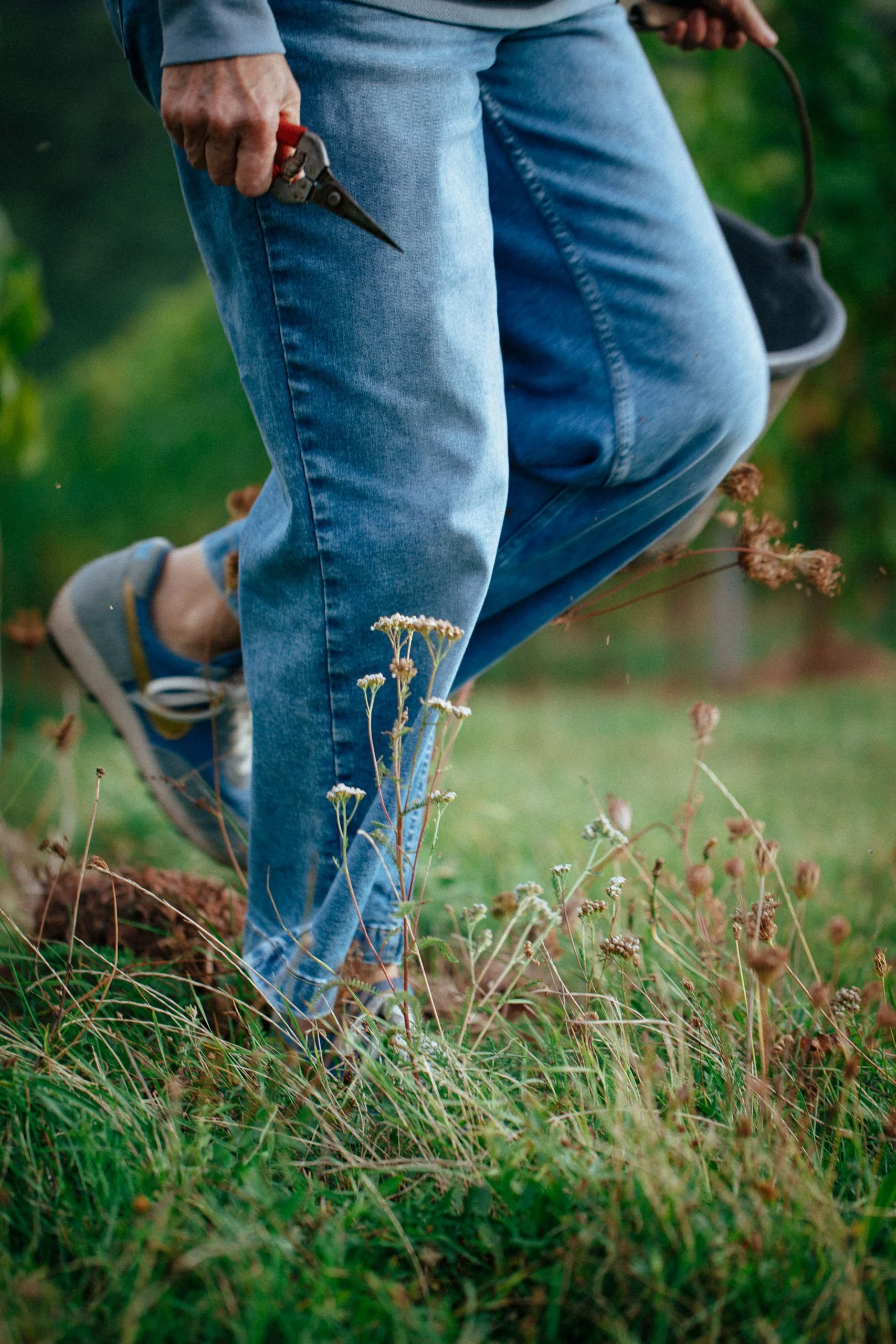 Person in Jeans und Sneakers beim Anwenden eines Gartengeräts im Garten, um Pflanzen zu pflegen.