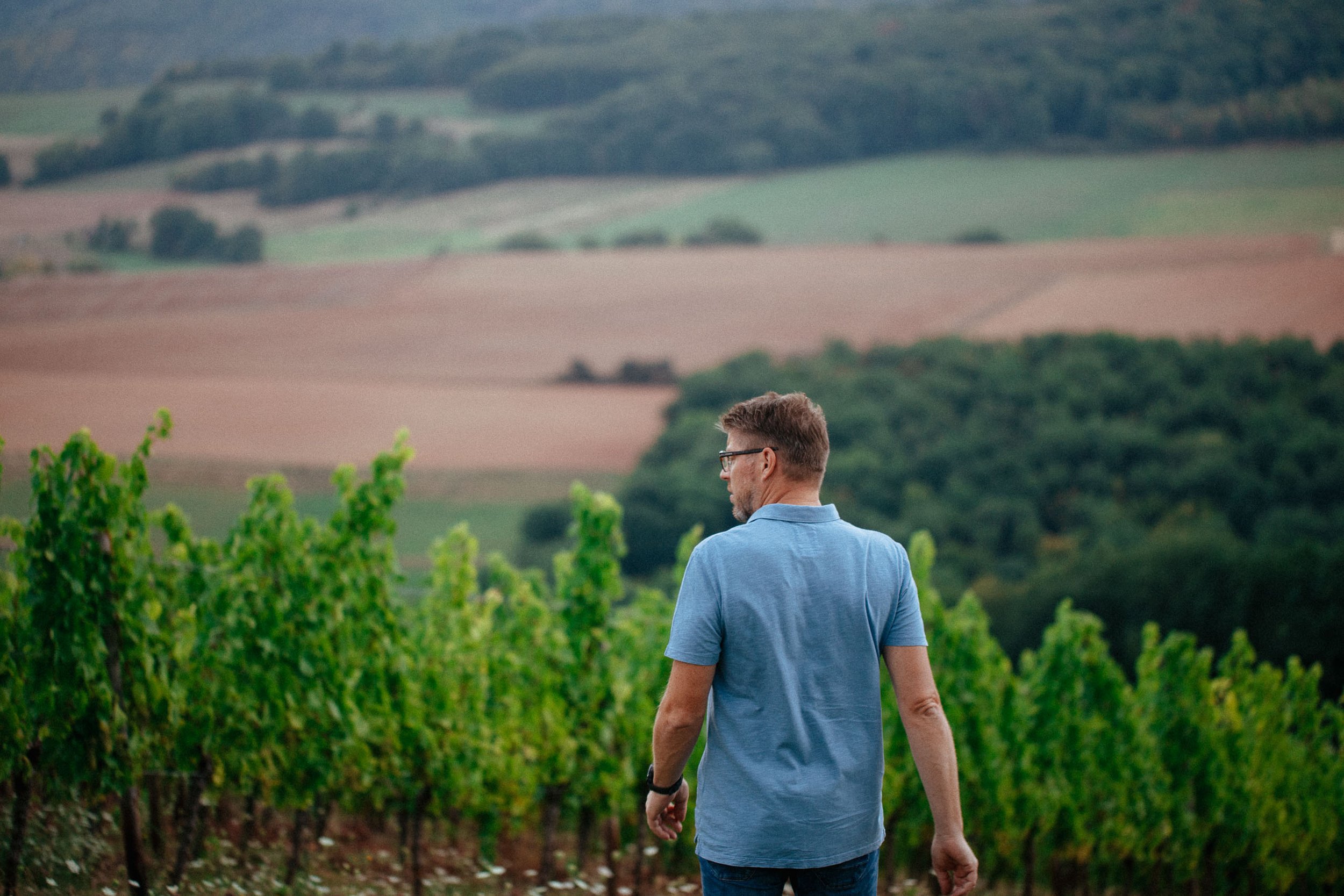 Mann in blauer Hemd erkundet einen Weingarten mit grünen Reben, im Hintergrund sanfte Hügel und Felder.