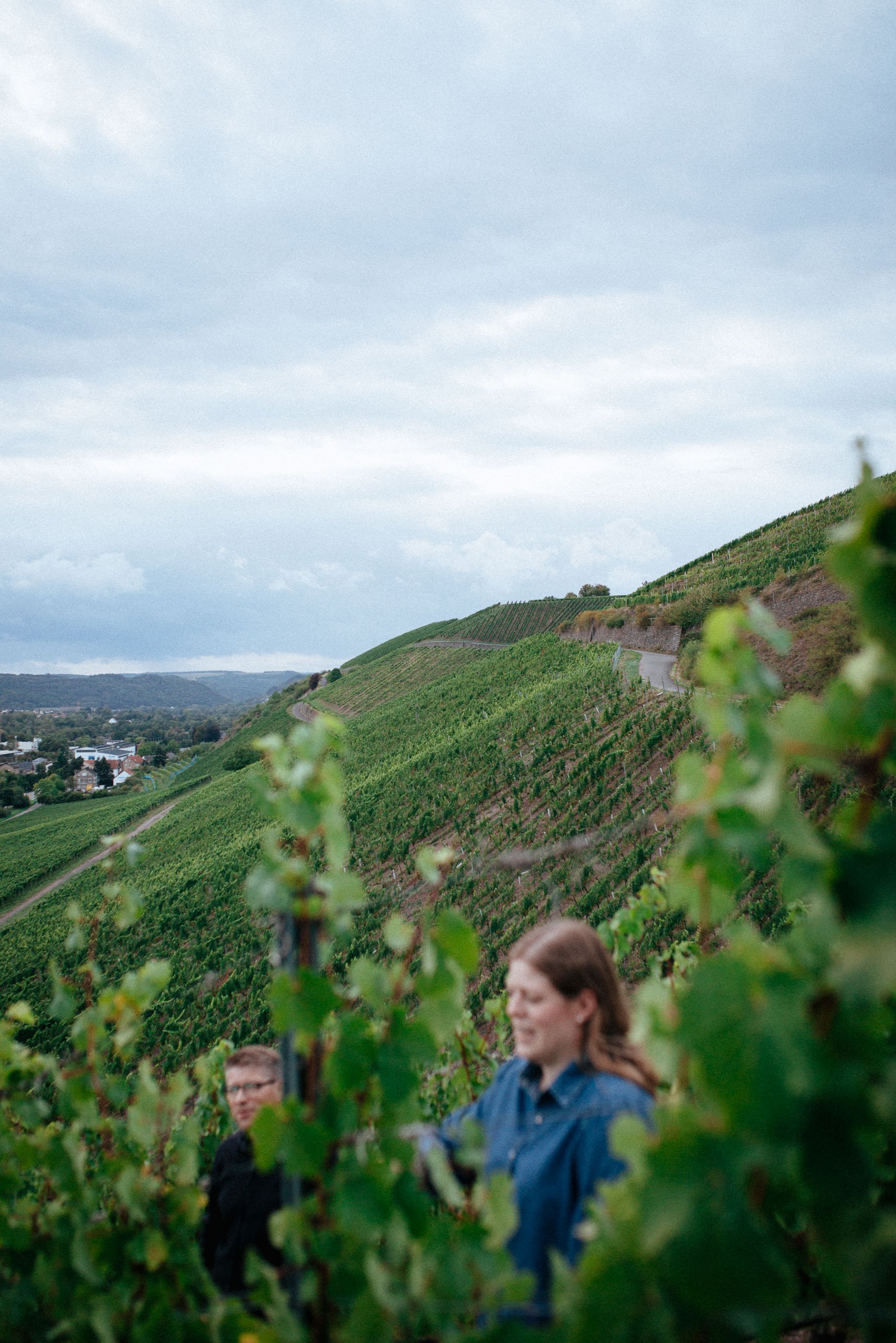 Zwei Menschen in einem Weinberg mit grünen Reben, im Hintergrund hügelige Landschaft und ein bewölkter Himmel.