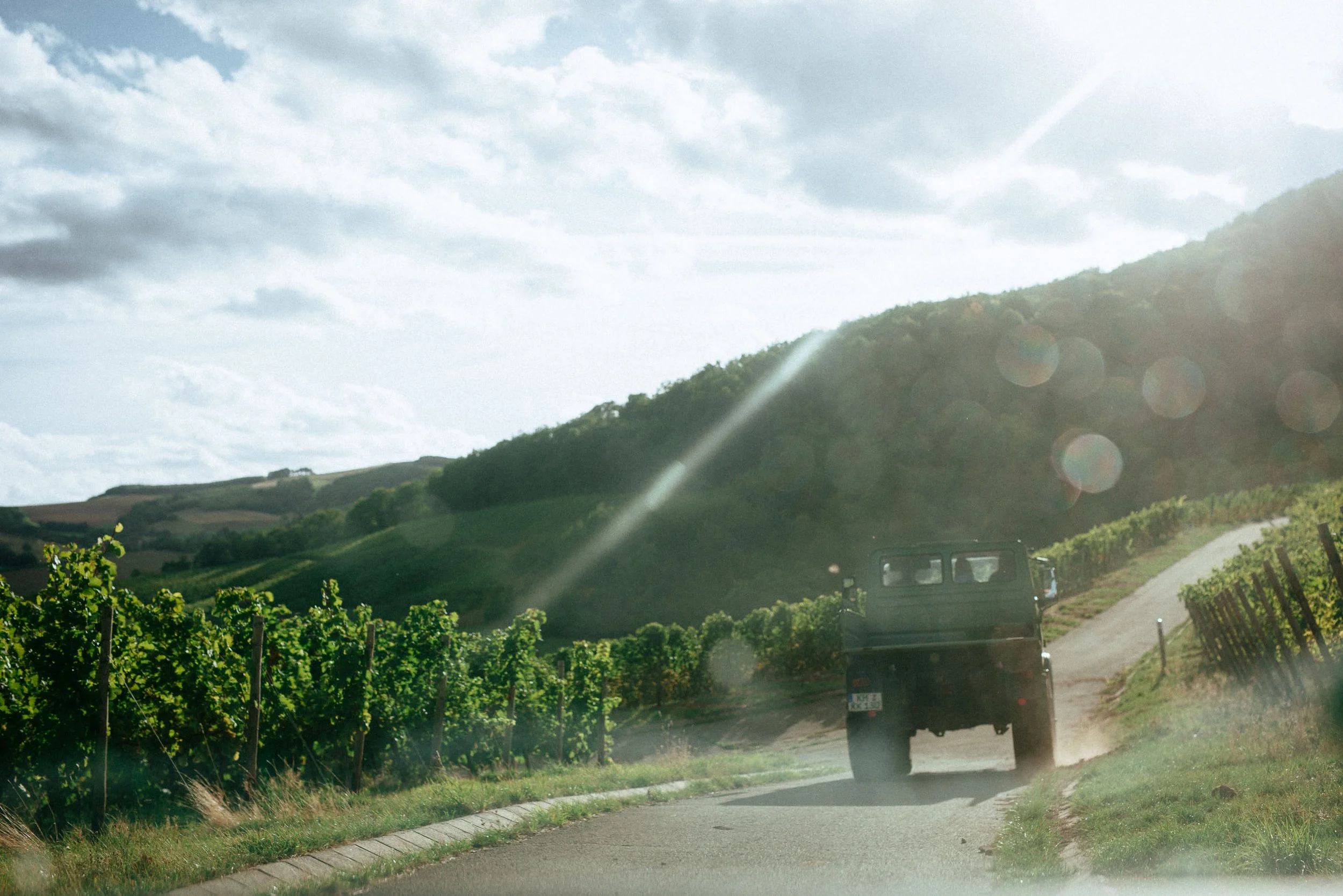 Ein Auto fährt auf einer Landstraße durch Weinberge in einer hügeligen Landschaft bei bewölktem Himmel.