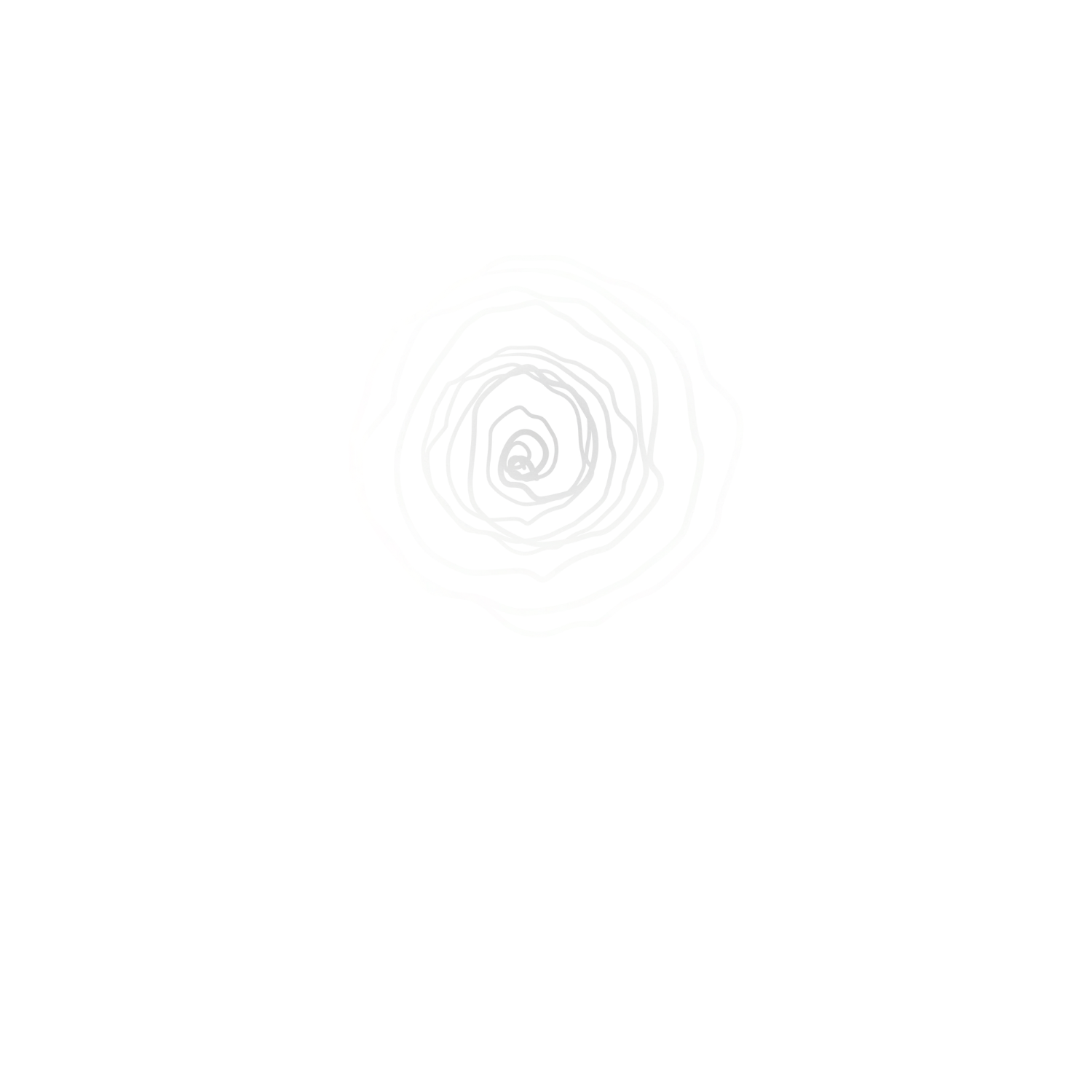 Wild Wonder Forest Bathing &amp; Nature Connection