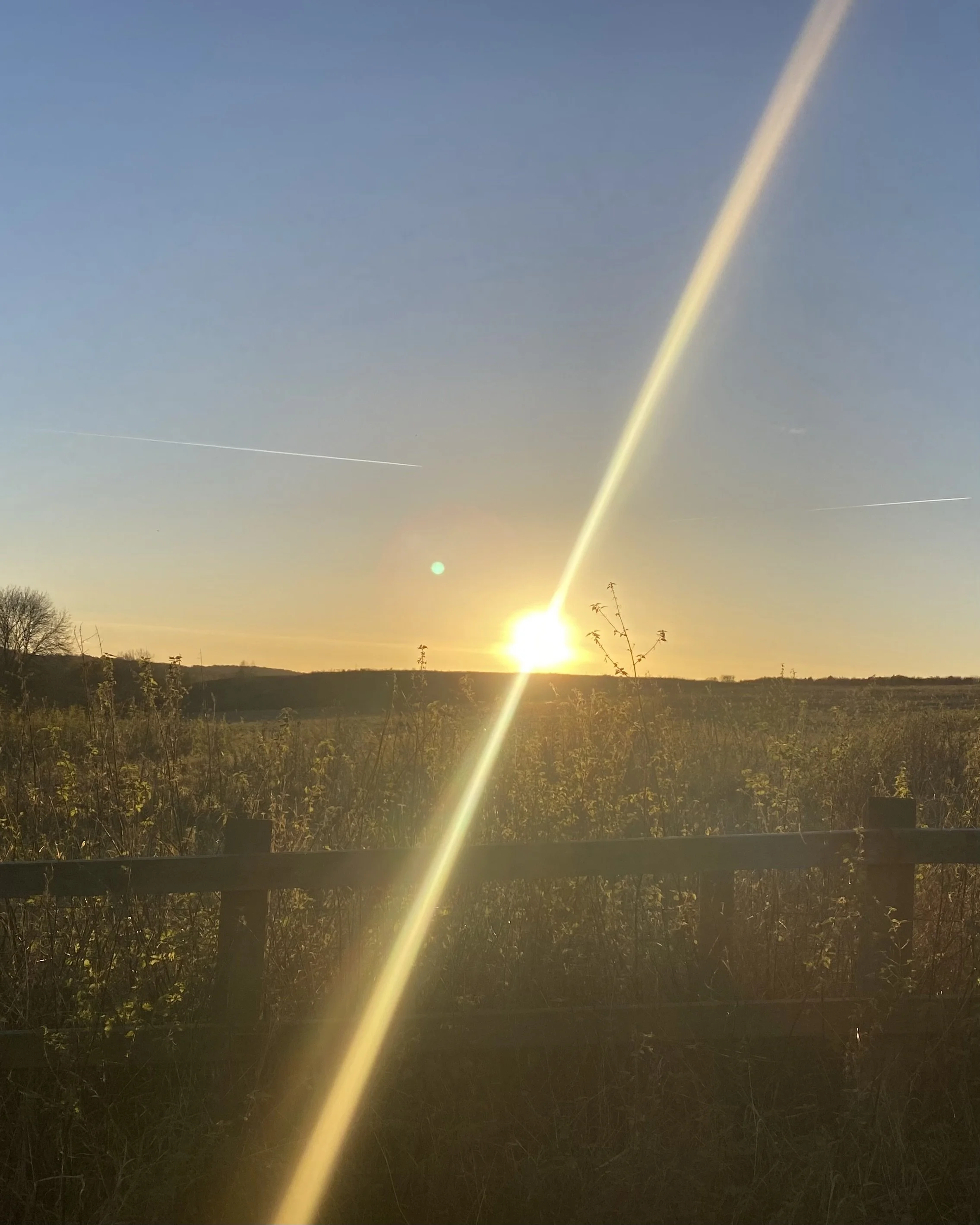 Sunday 28th June 10am-1pm: Midsummer Moments