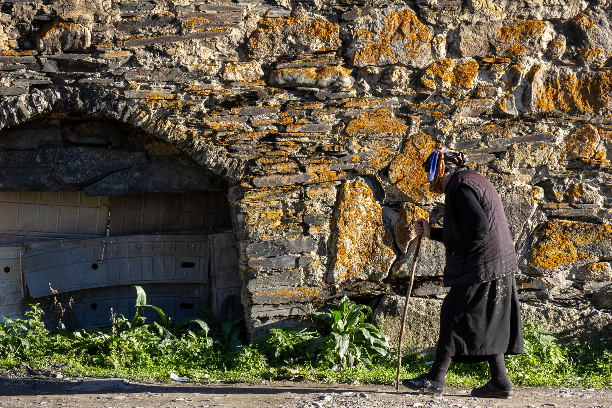 An elderly woman with a cane walks past a stone wall with an arched opening, with green plants at the base.