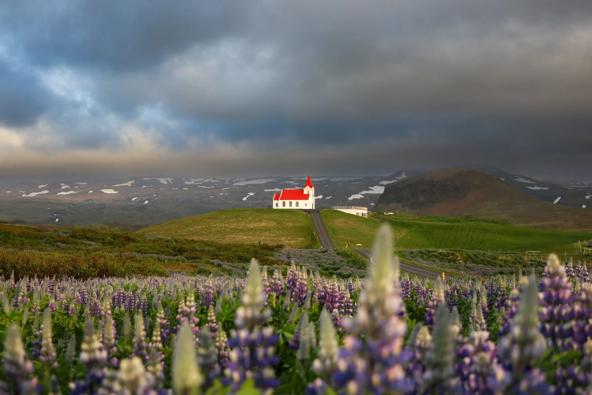 A white church with a red roof and steeple sits atop a grassy hill in a rural landscape with purple flowers in the foreground, green fields, and mountains in the background under a cloudy sky.