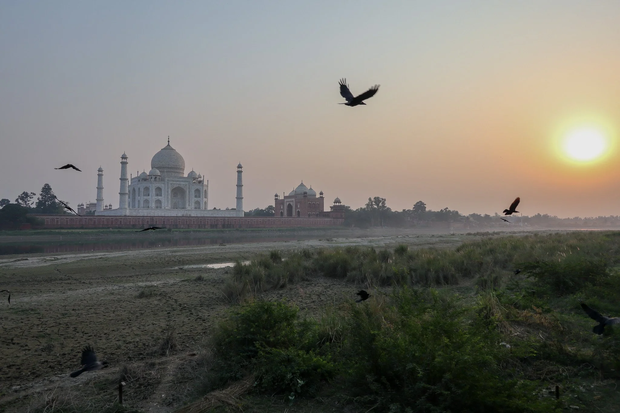 The Taj Mahal at sunrise, with several birds flying in the sky and a landscape of grass and water in the foreground.