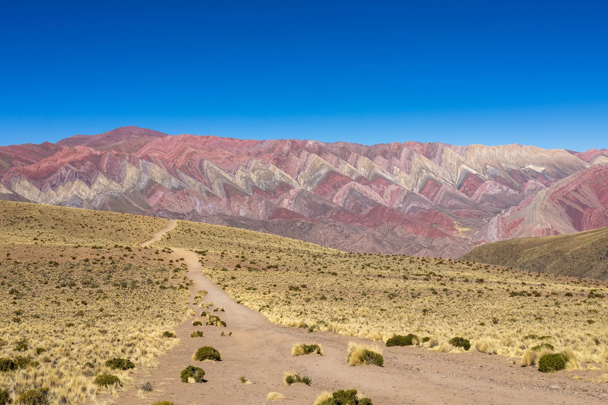 A dirt trail winding through a yellowish grassy desert with multicolored mountains in the background under a clear blue sky.