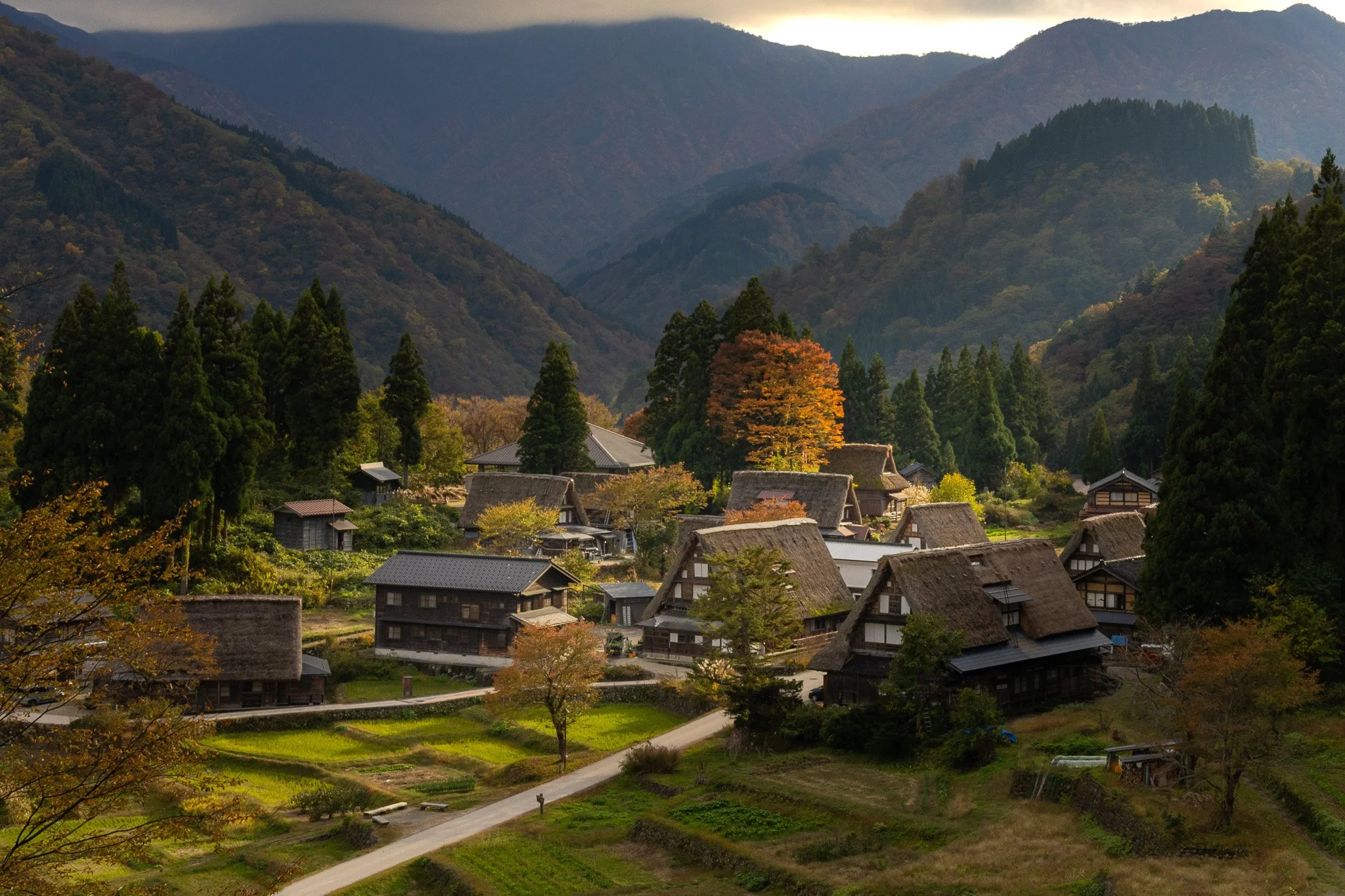 A rural village in the mountains with traditional Japanese thatched-roof houses, surrounded by lush trees and fall foliage.