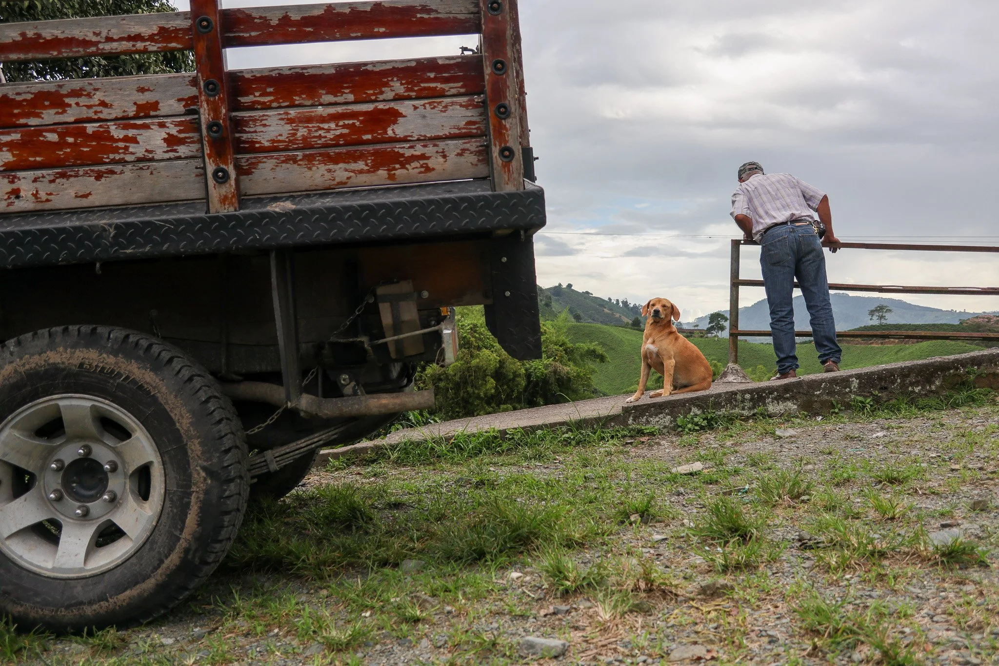 A man in a plaid shirt and jeans is fixing a gate while a dog sits nearby on a gravel path in a rural landscape with green hills and cloudy sky.
