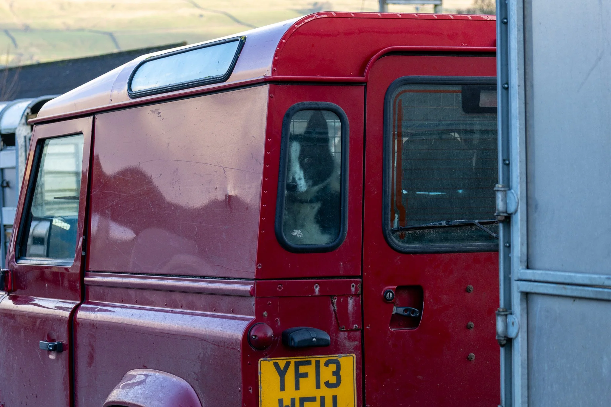 Red utility vehicle with a dog looking through a side window.