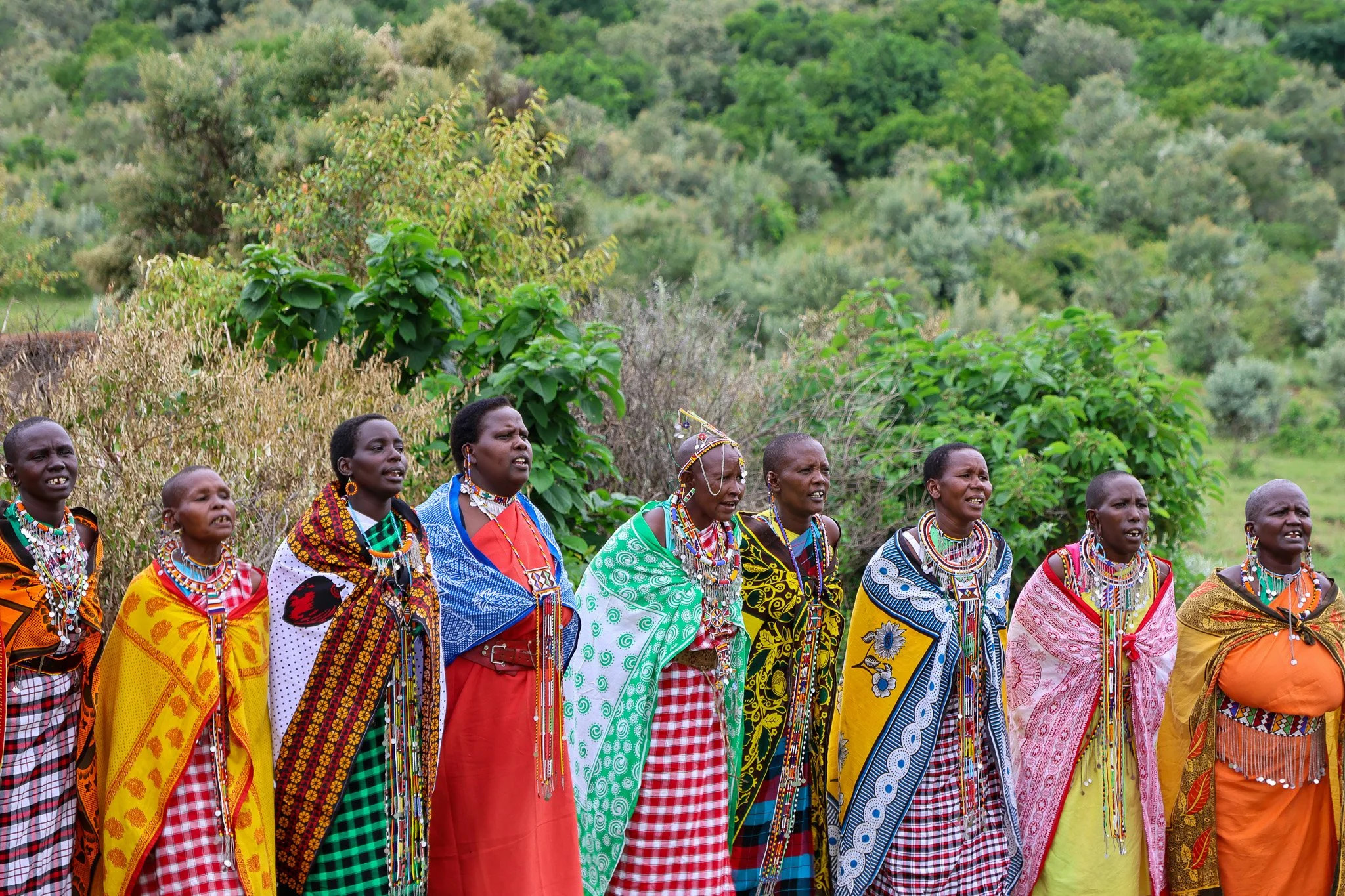 A group of women dressed in traditional Maasai clothing, standing outdoors in front of lush green vegetation.