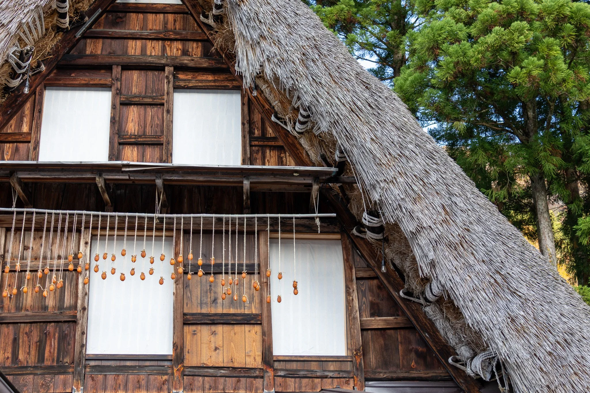 A treehouse with wooden walls and a slanted thatched roof, surrounded by green trees.