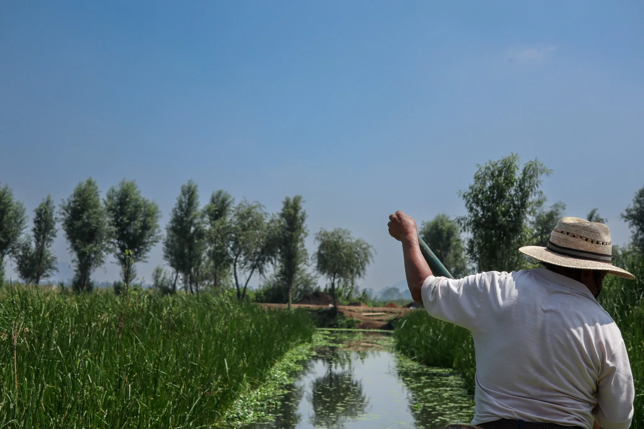 A person wearing a wide-brimmed straw hat and white shirt paddling a boat along a narrow waterway surrounded by green crops and trees under a clear blue sky.