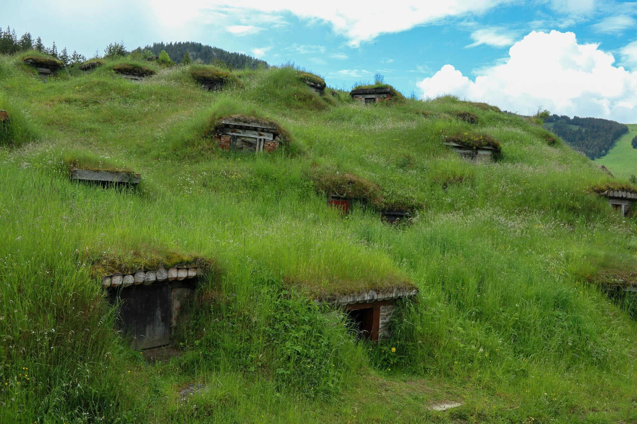 Green hillside with grass-covered concrete bunkers and small entrances, surrounded by wildflowers and trees under a partly cloudy sky.