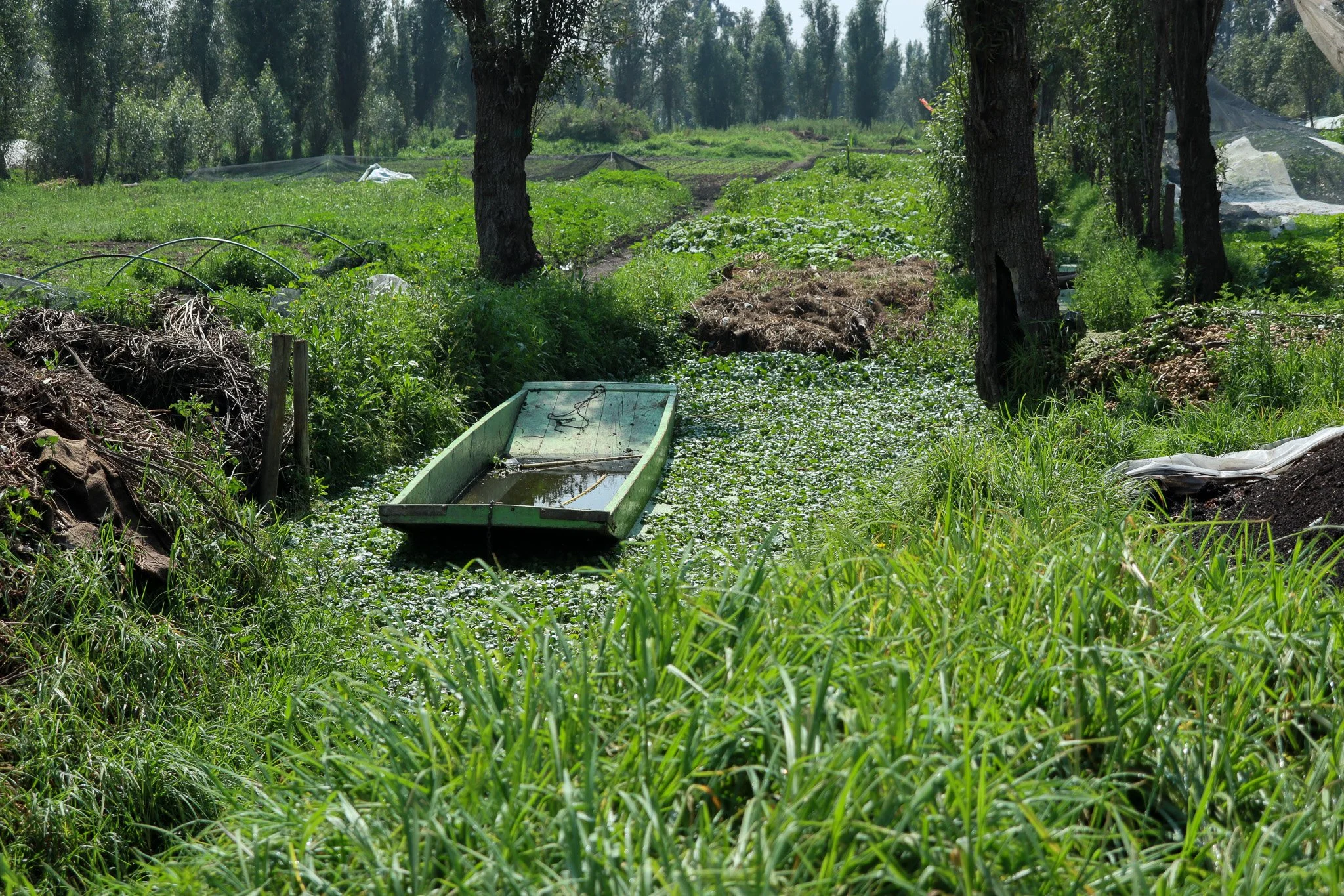 A small boat floats in a narrow waterway surrounded by tall grass, trees, and lush green vegetation in a rural setting.