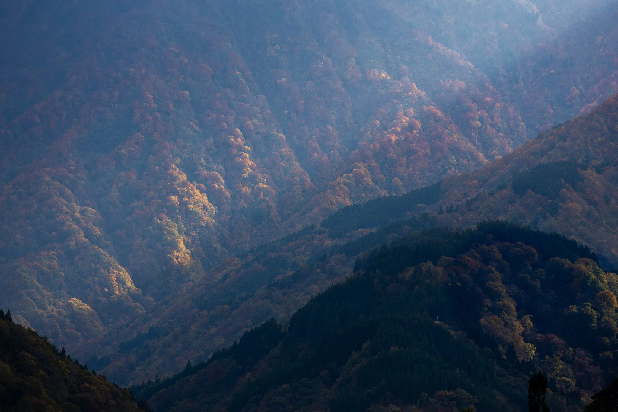 Photo of a mountain range covered with dense forest, showcases various shades of green, orange, and brown, indicating autumn foliage.