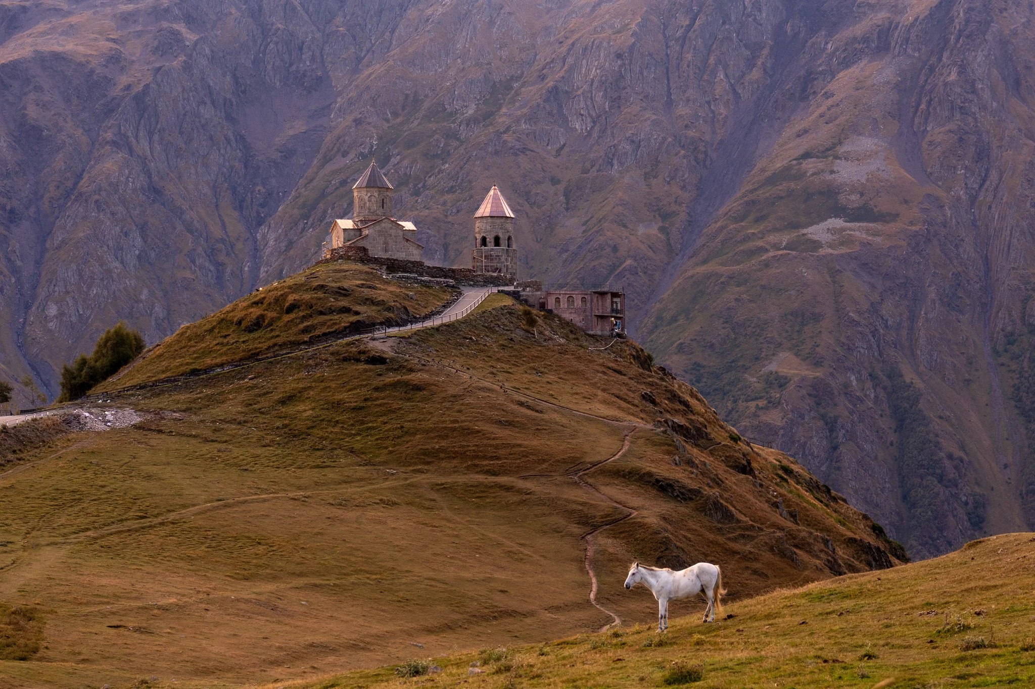 A white horse grazing on a grassy hill in front of a mountain landscape with a small stone church on top of the hill.
