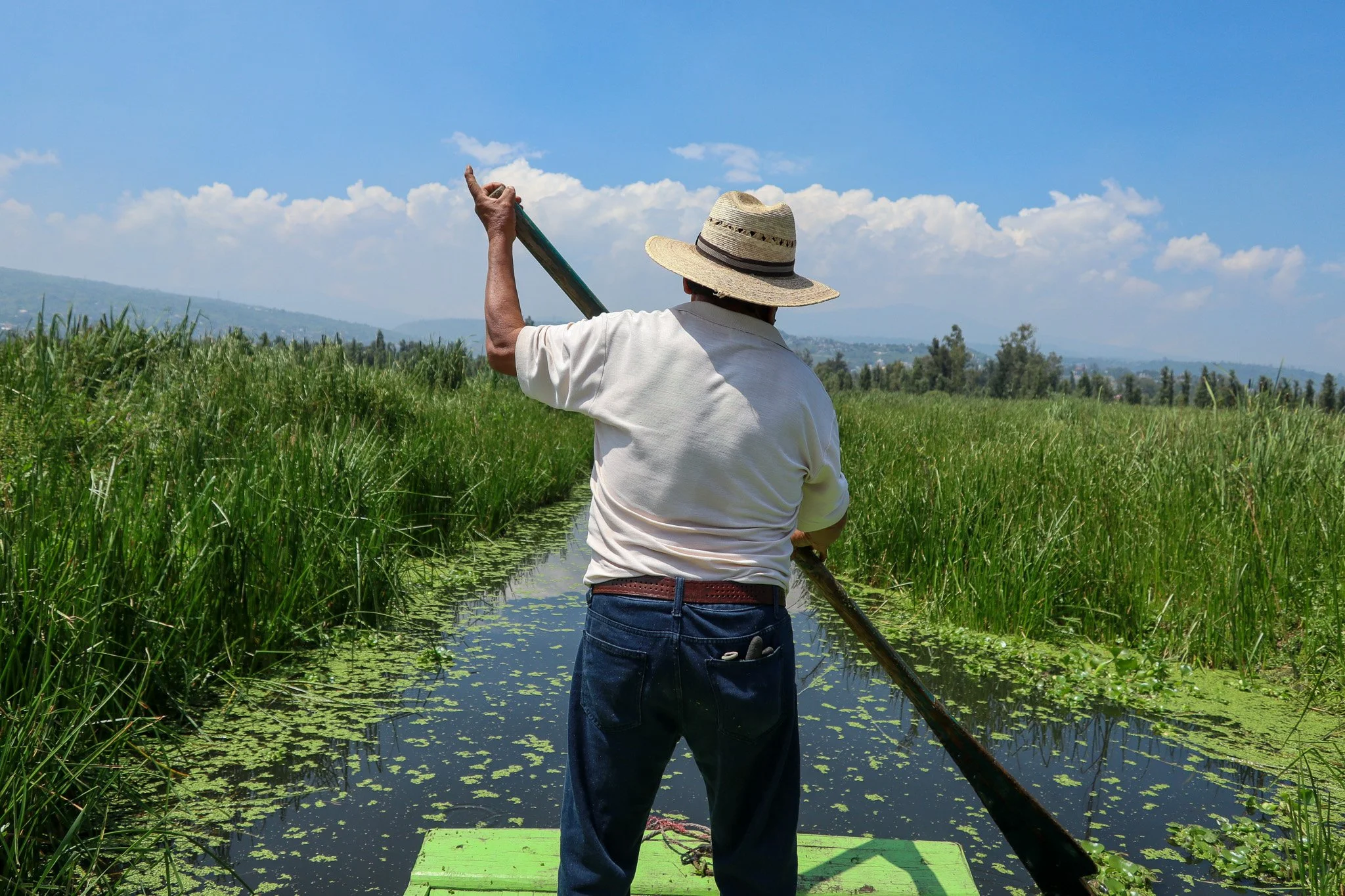 A man wearing a straw hat and white shirt paddling a small boat through a lush green marsh or wetland with tall grasses and floating plants under a bright blue sky.