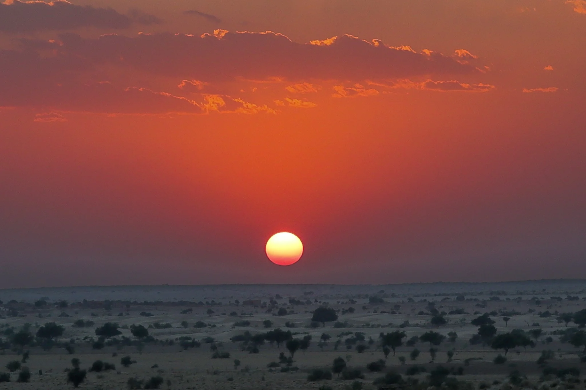 Sunset over a desert landscape with scattered trees and a sky with orange and pink clouds.