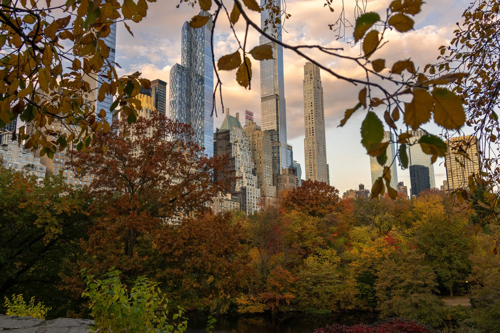 View of New York City skyline with skyscrapers in the background, framed by tree branches with autumn-colored leaves in a park.
