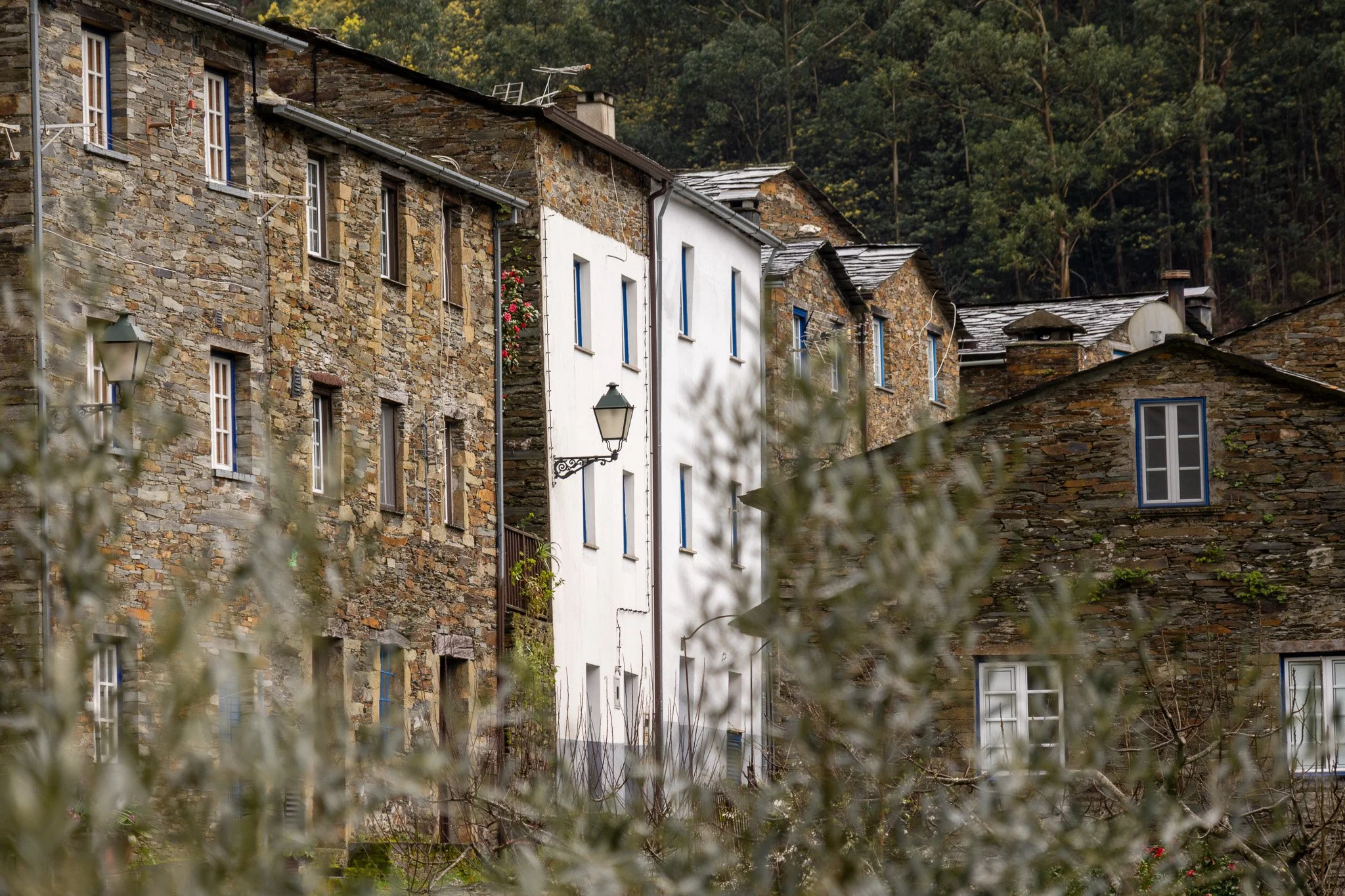 A row of rustic stone and white houses with blue window trims, set against a wooded hillside in the background, with outdoor lamps and some greenery in the foreground.